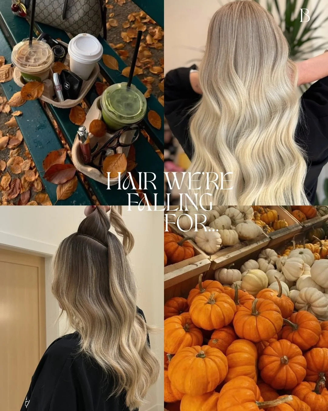 We love us some fall inspired hair 🤎🍂✨