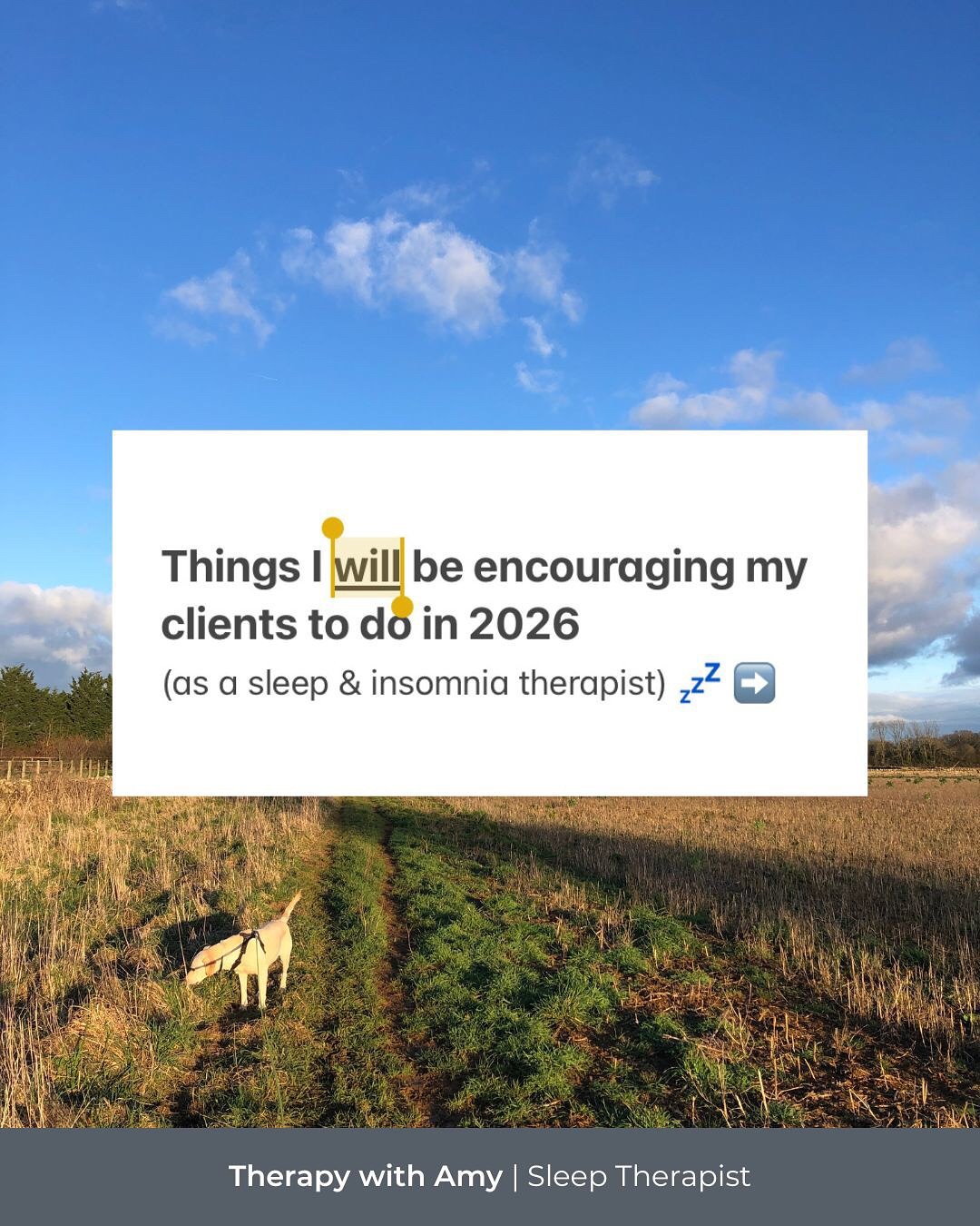 How many of these have you tried? 👀

With 1:1 sleep support, I&rsquo;ll help you break the vicious cycle of insomnia, so that 2026 becomes the year that you&hellip;

👉 Fall asleep faster and sleep through the night
👉 Feel more present with friends