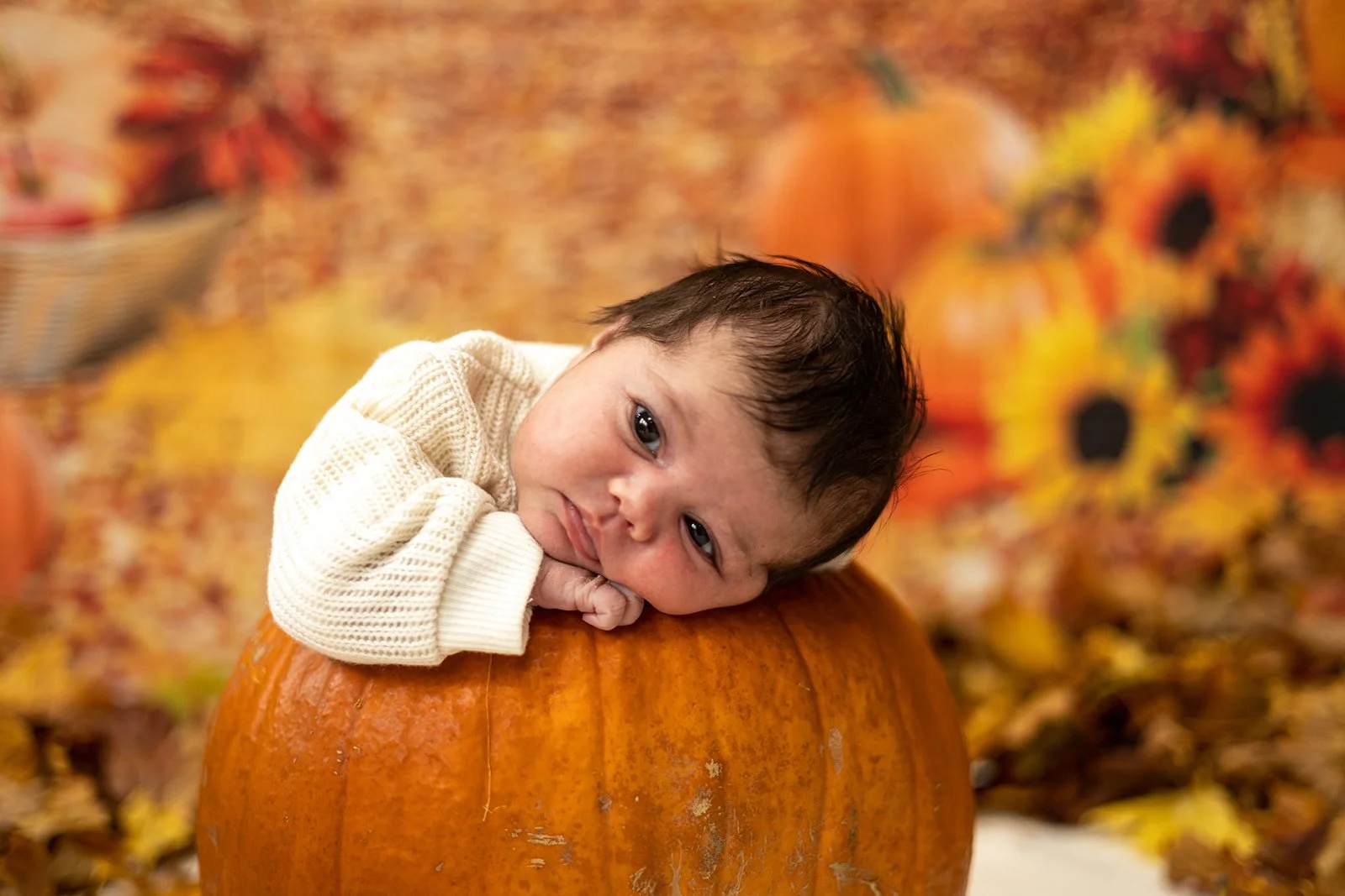 A baby with dark hair and light skin resting on a large pumpkin, surrounded by fall leaves and orange pumpkins in an autumn-themed setting.