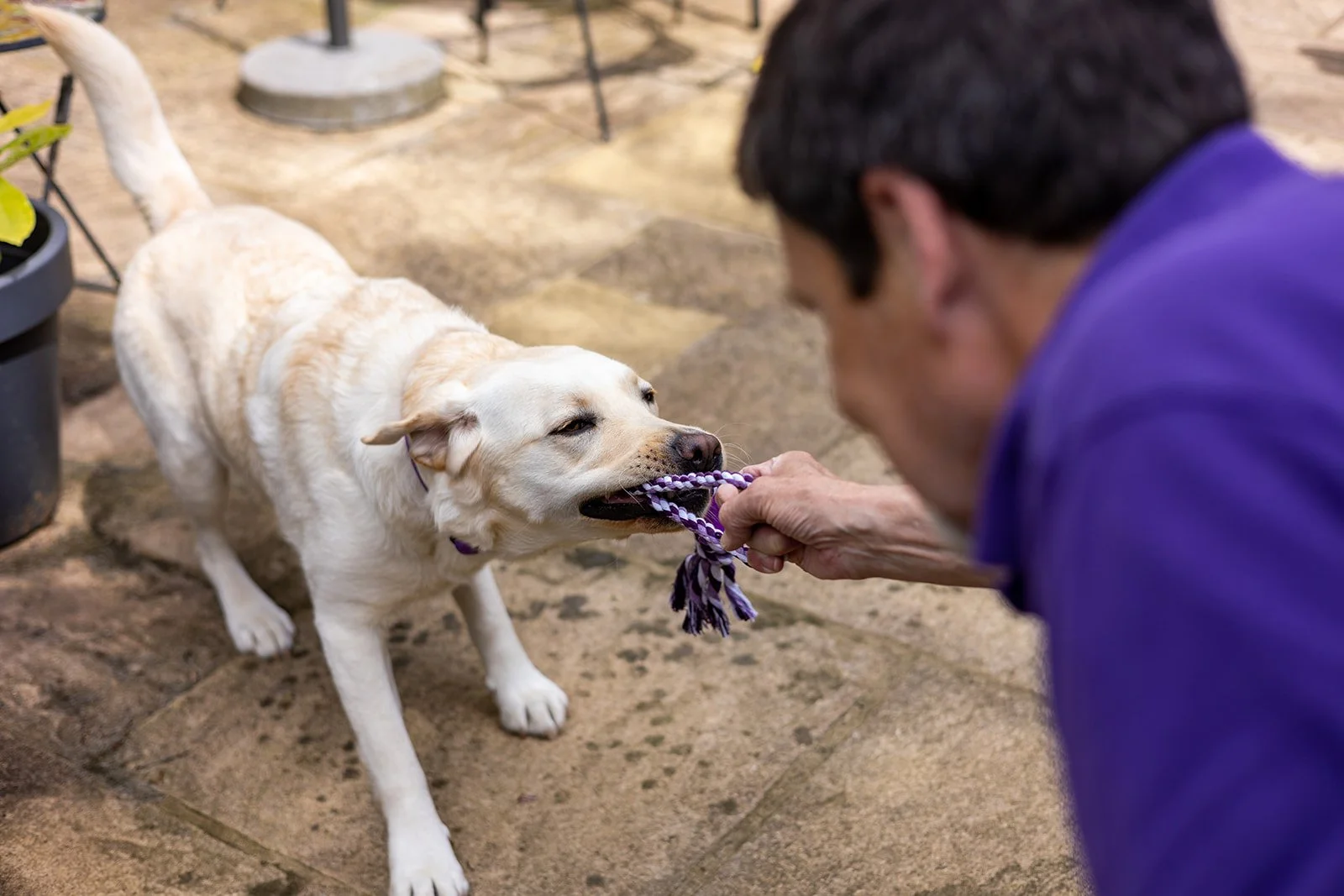Canine-Partners-HLAURIE-41_websize.jpg