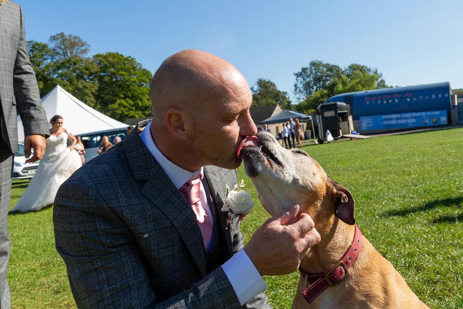 A man dressed in a suit with a pink tie and white boutonniere is kissing a dog on the nose at an outdoor event on a sunny day with green grass and trees in the background, and a tent and people visible in the distance.