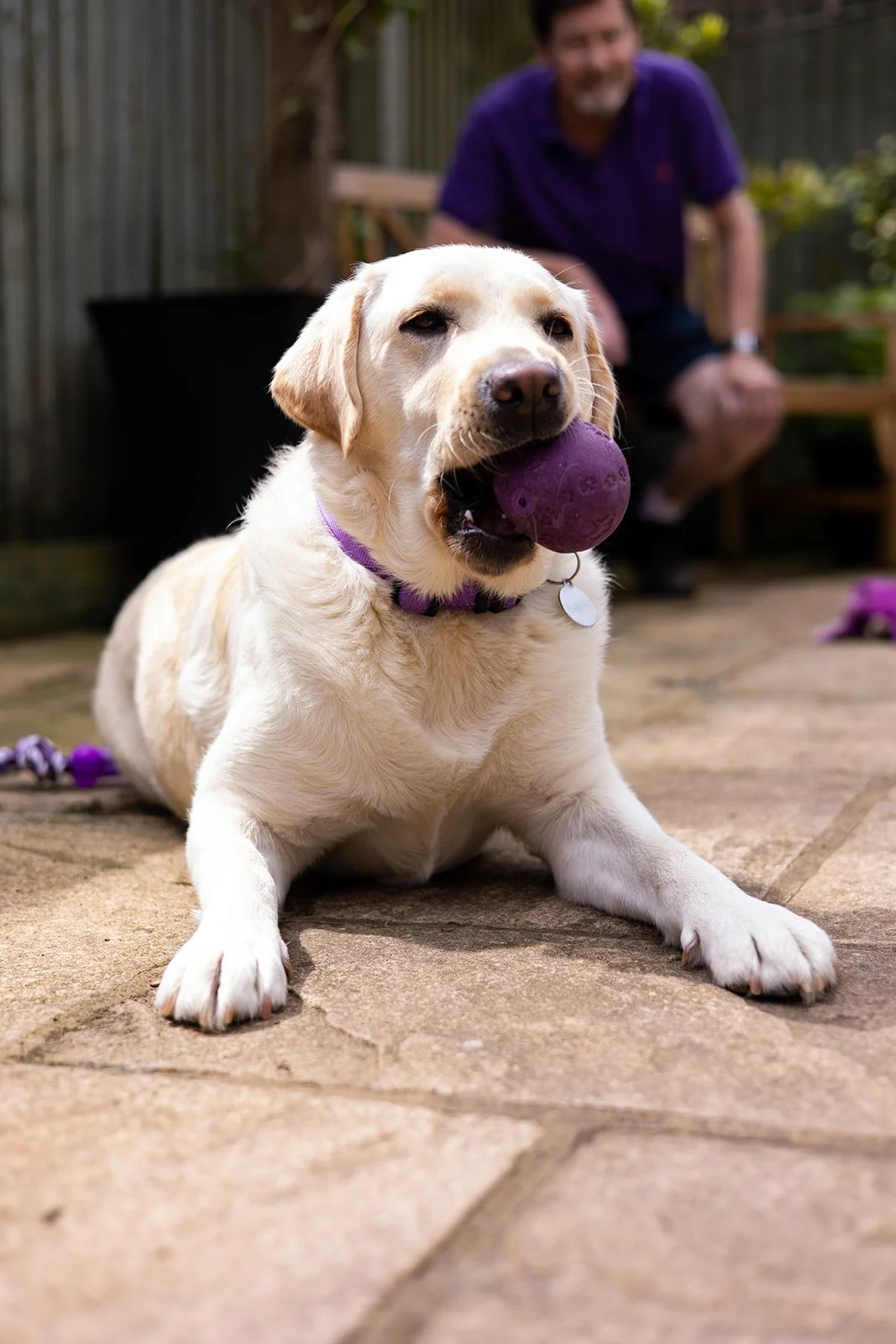 Canine-Partners-HLAURIE-24_websize.jpg