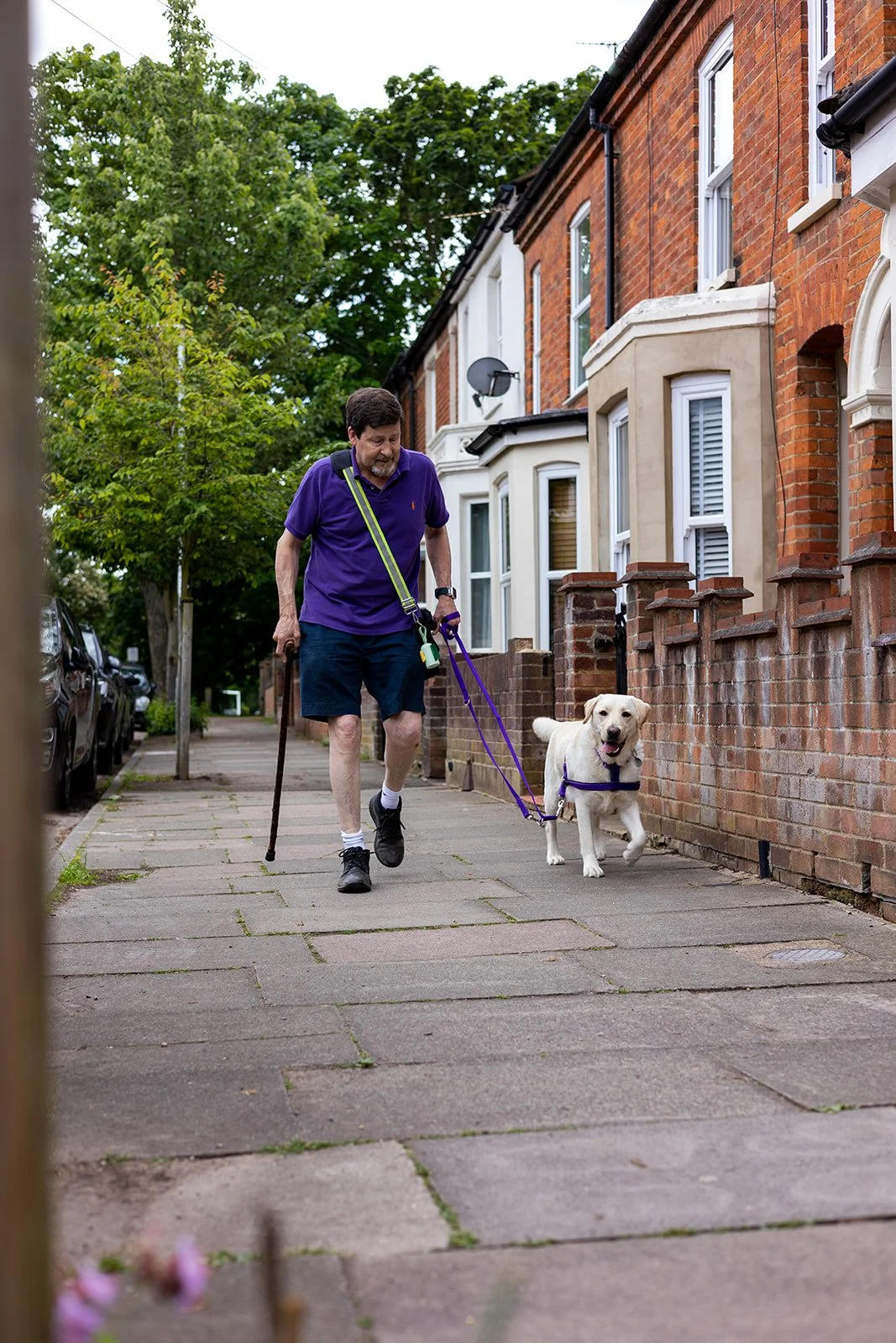 Canine-Partners-HLAURIE-94_websize.jpg