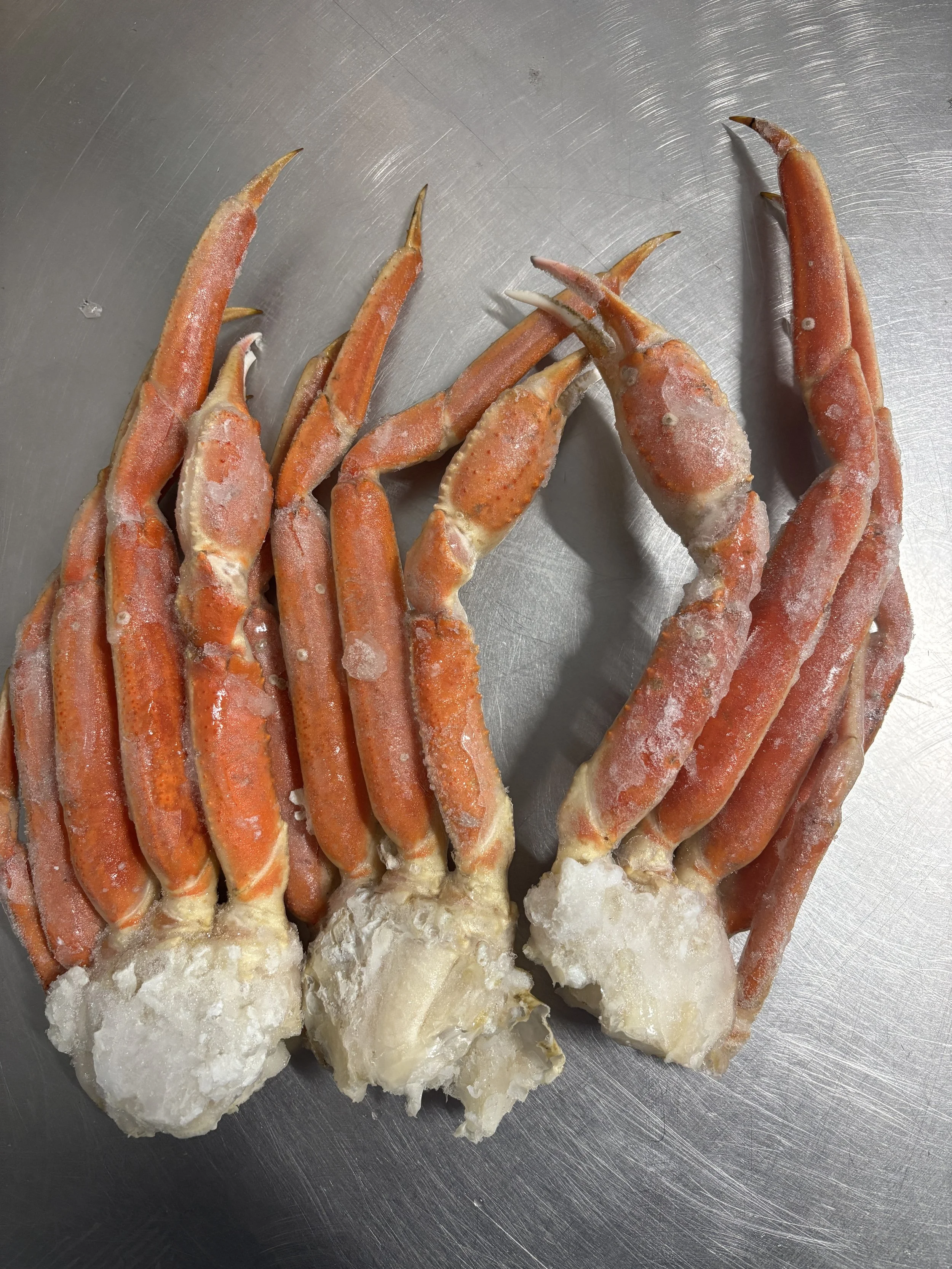 Snow crab .JPG