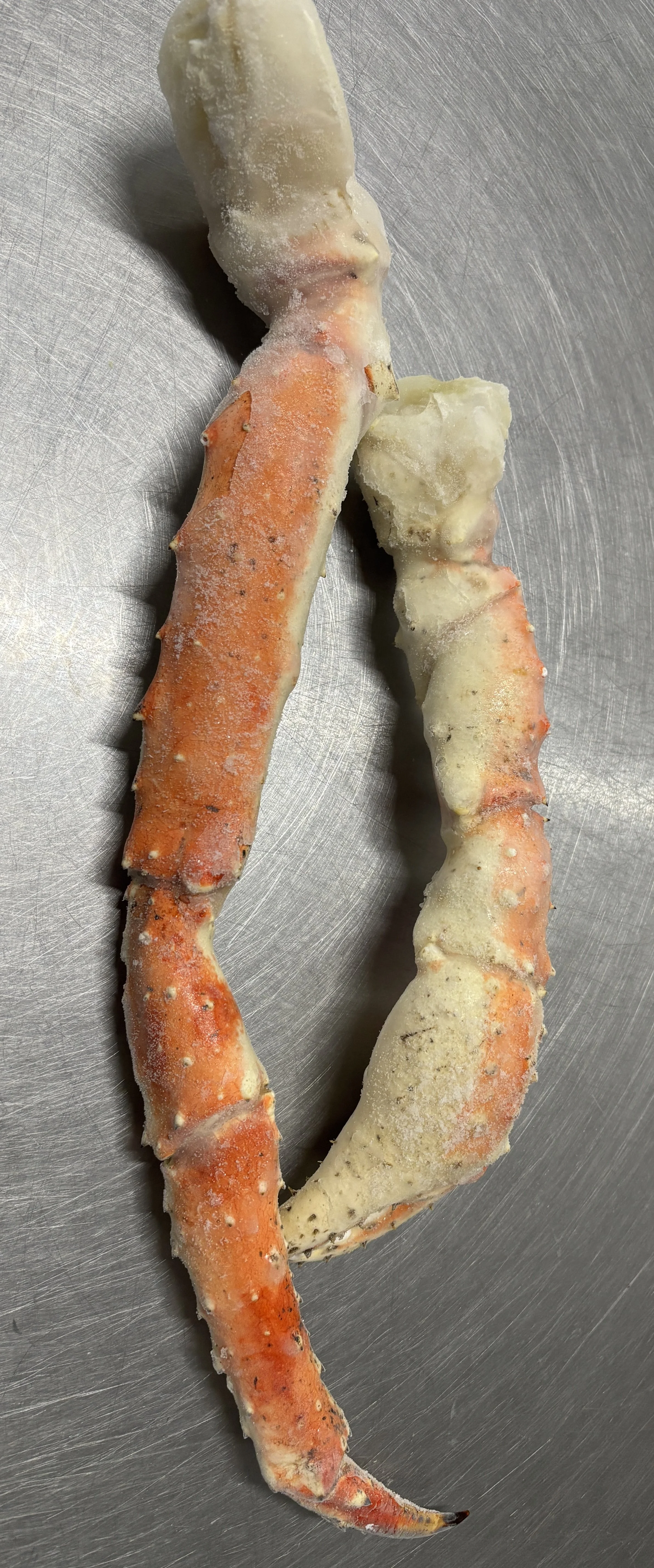 King Crab .jpg