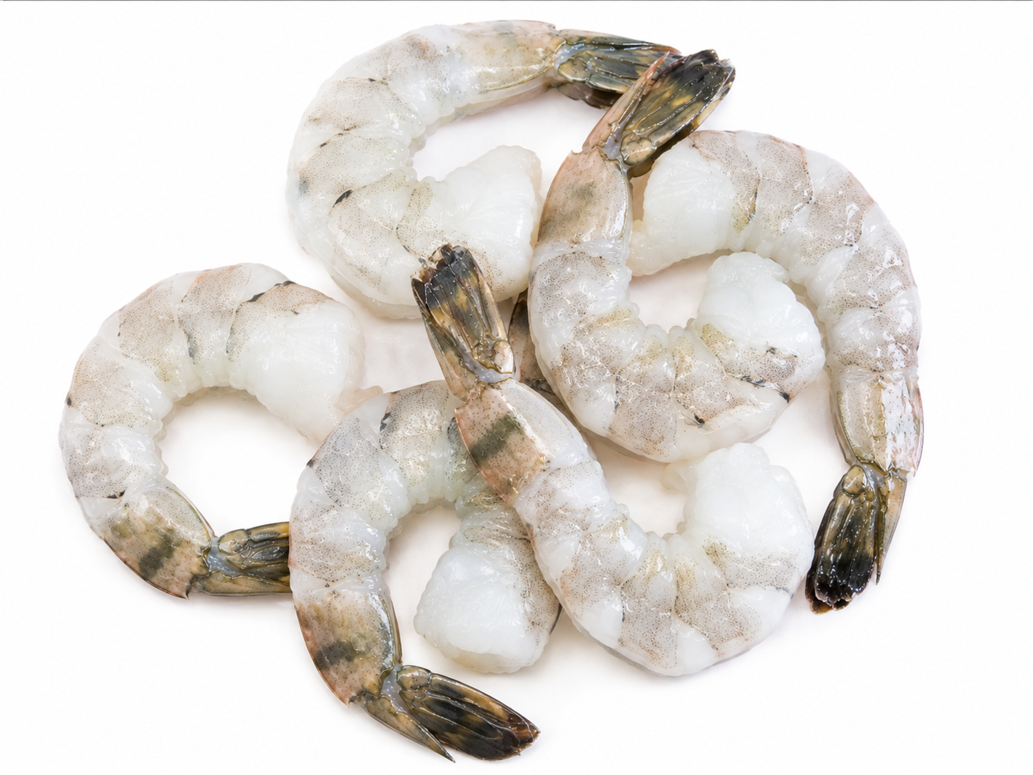 ChatGPT Image Aug 14, 2026, 07_36_25 AM.png