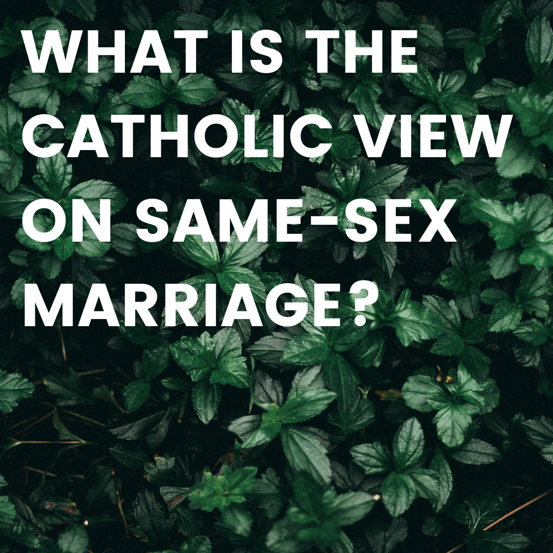 Thumbnail - What is the Catholic view on same-sex marriage.png