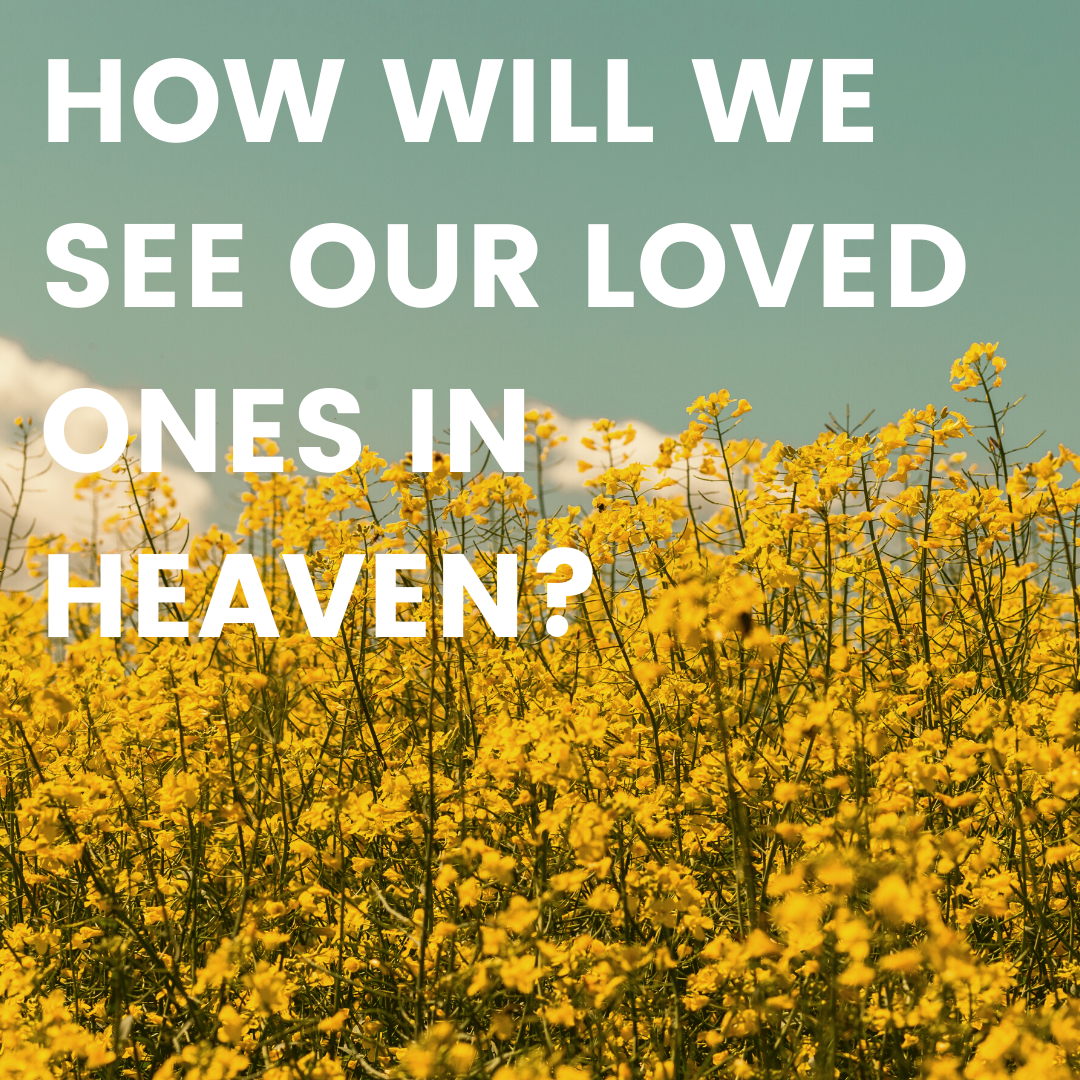 Thumbnail - How will we see our loved ones in heaven.png