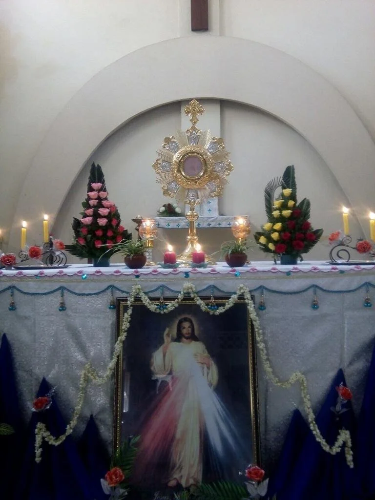 Eucharistic Miracles