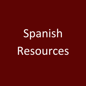 Spanish Resources CSM Catholic Spiritual Mentorship Button.png