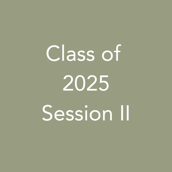 CSM Catholic Spiritual Mentorship Button Session 2.png