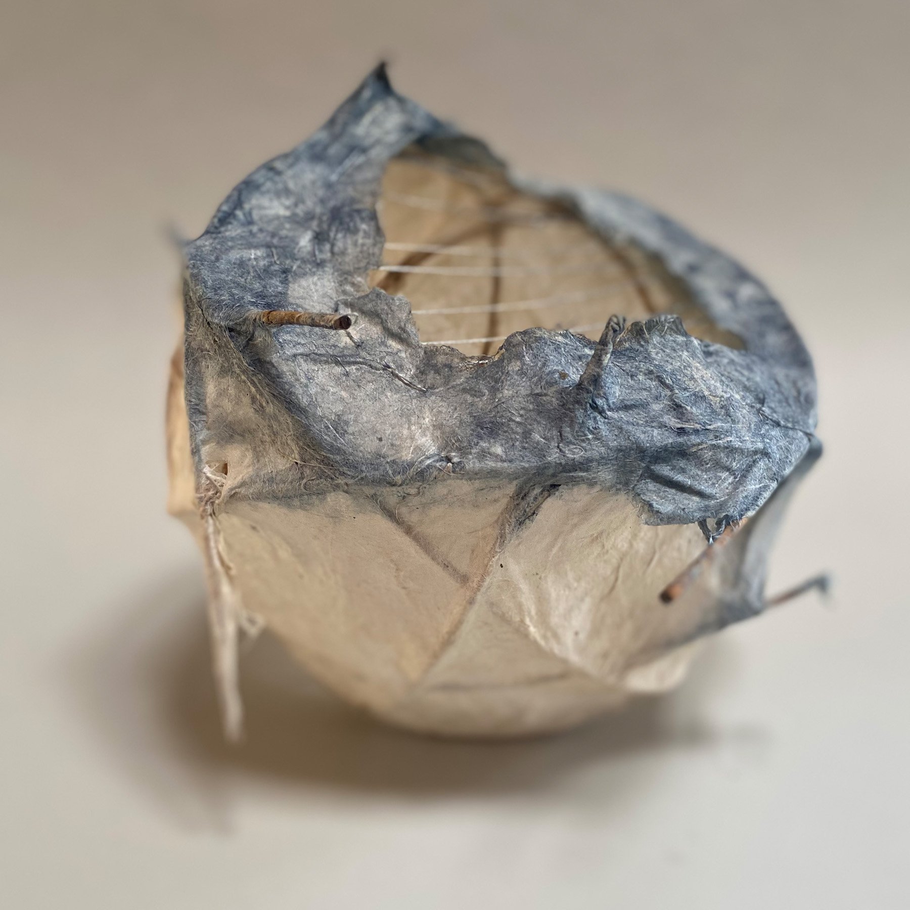 nest.3_.jpg