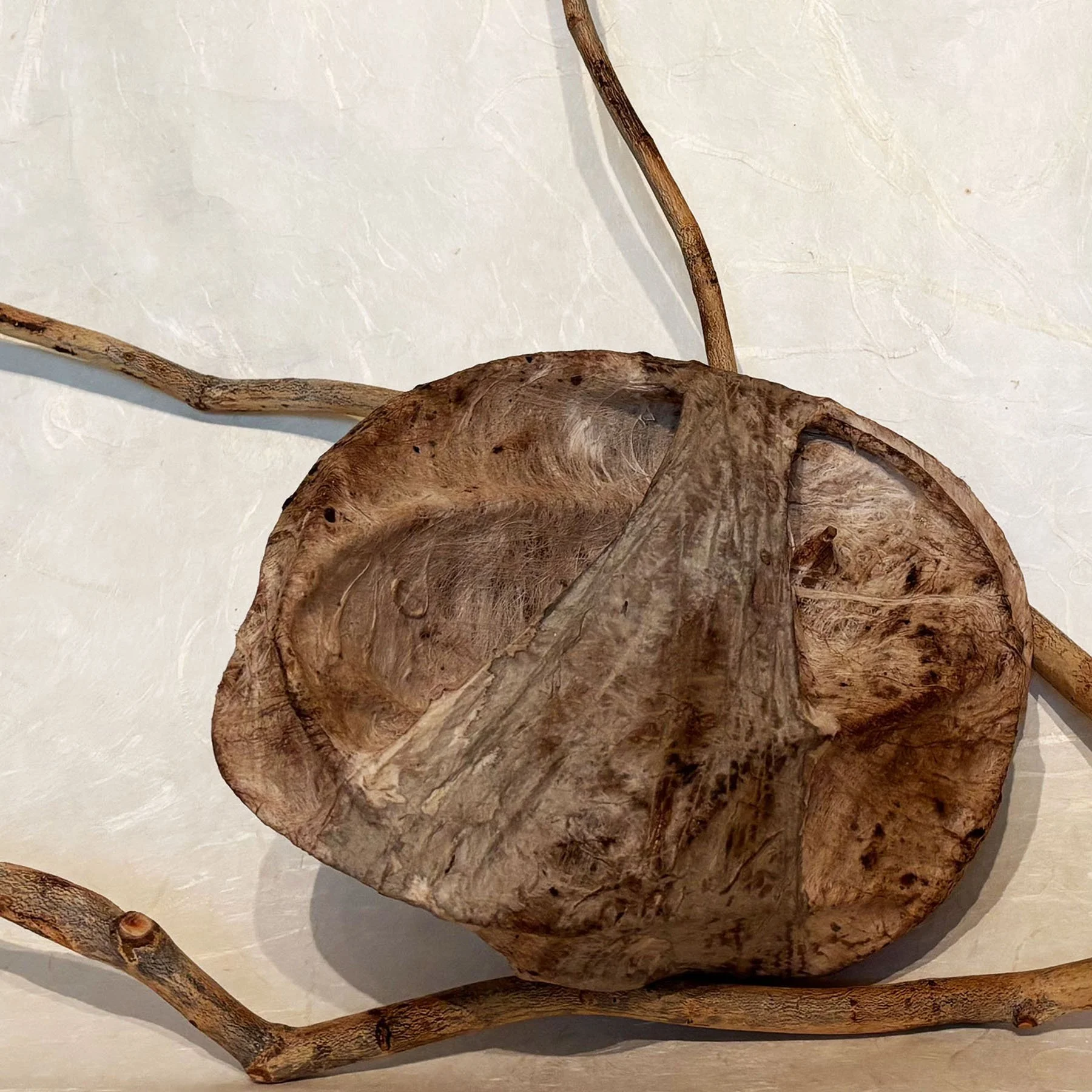 Chrysalis w/wood, rattan, flax fiber paper, pigments, thread