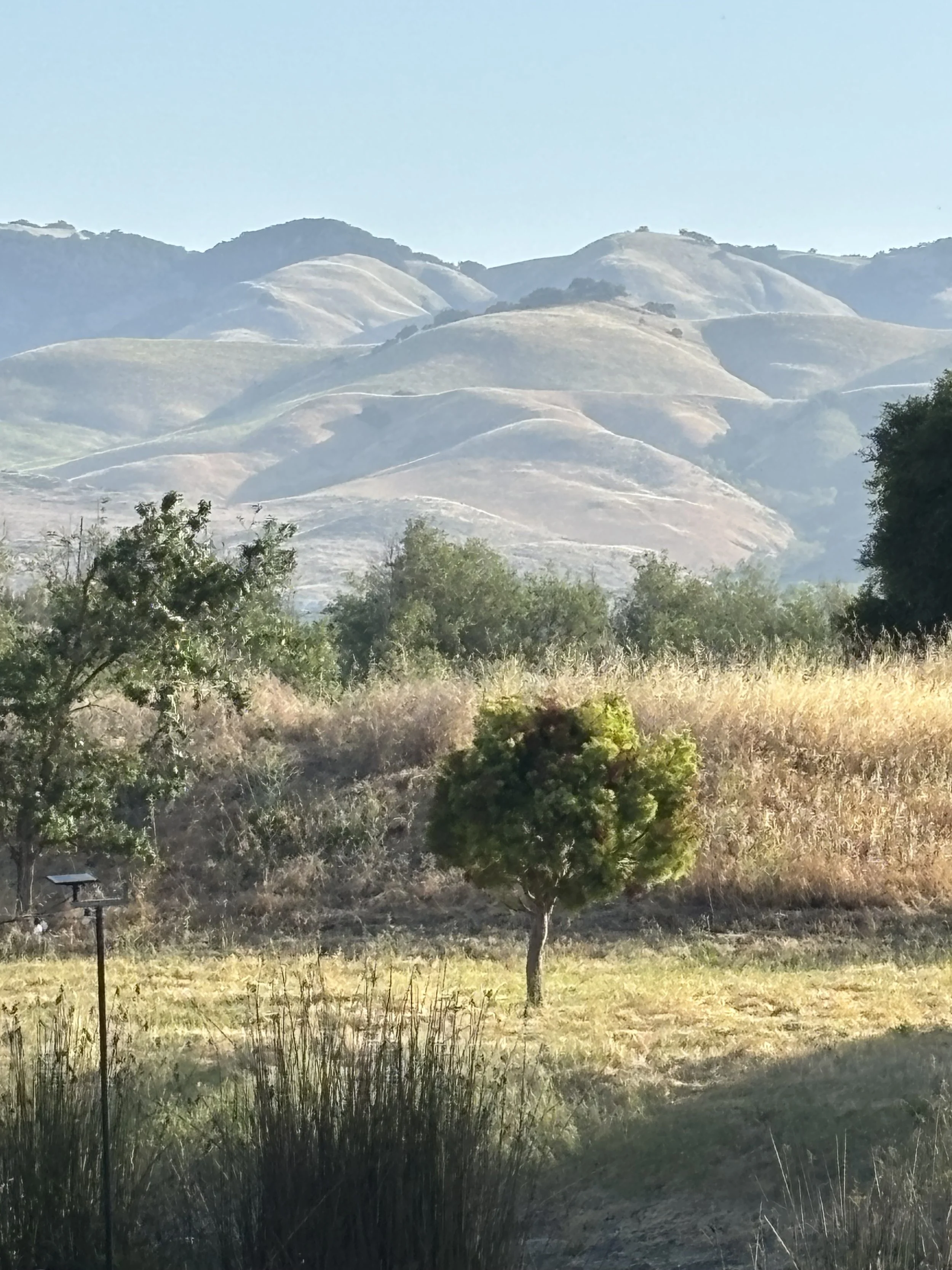 IMG_1183.jpeg