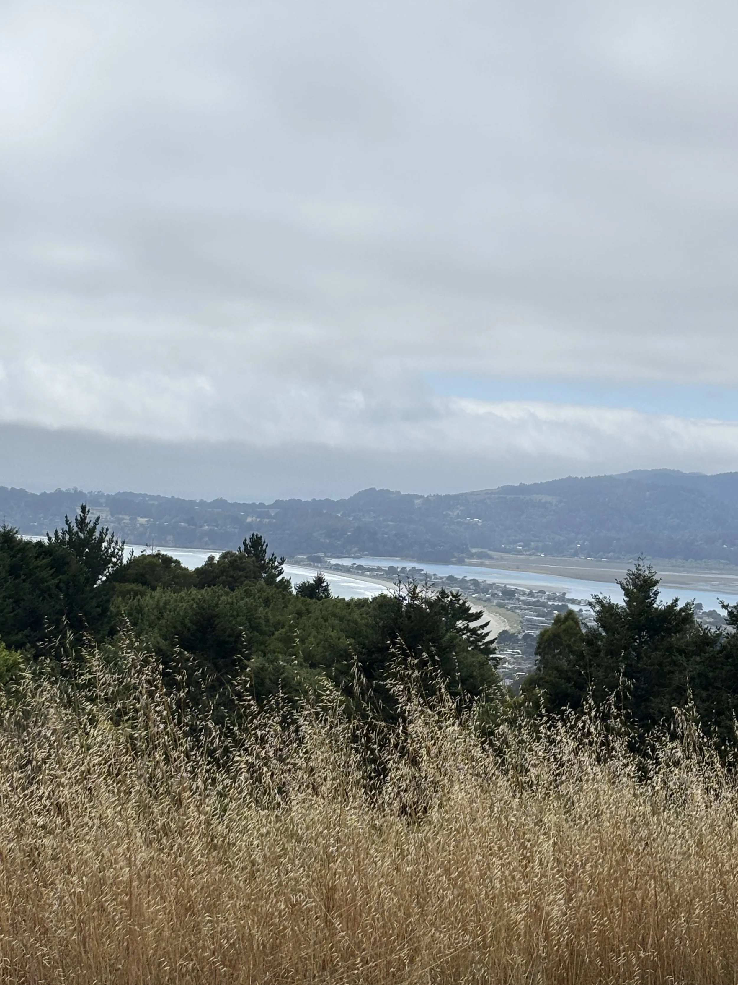 IMG_2290.jpeg
