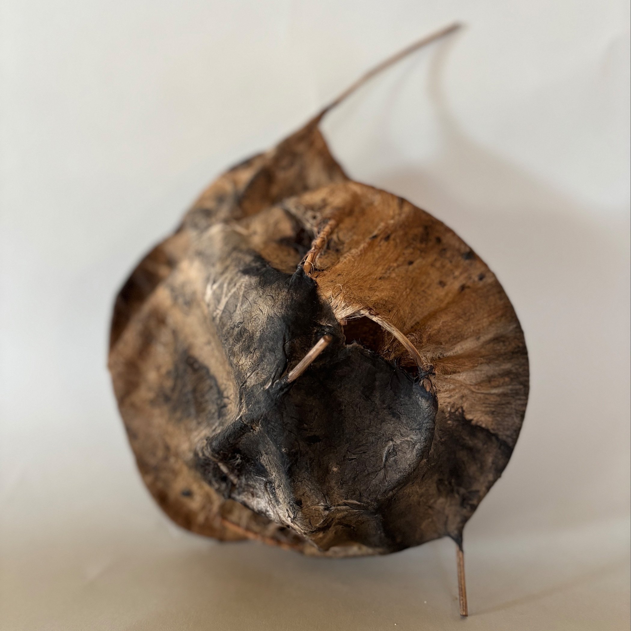 Chrysalis: Three
