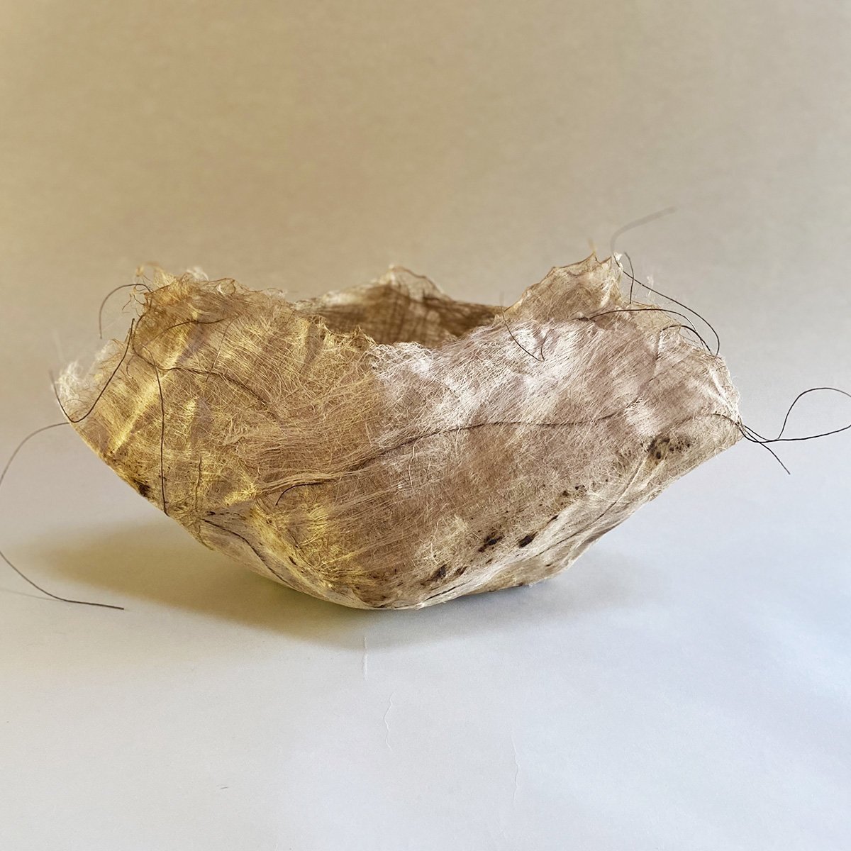 Cocoon: Two