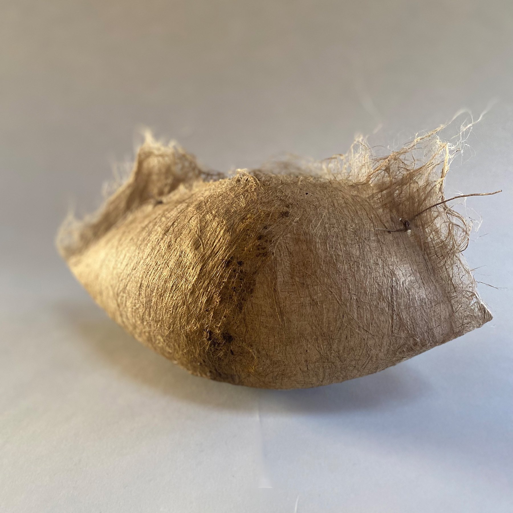 cocoon.3_.jpg