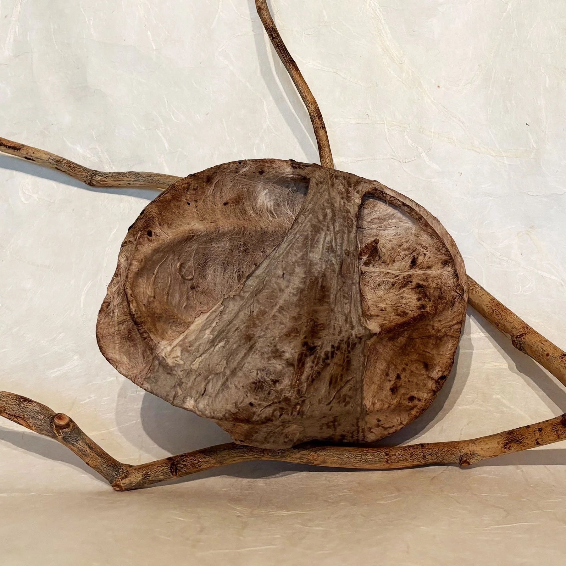 Paper & Constructions / IN-STUDIO