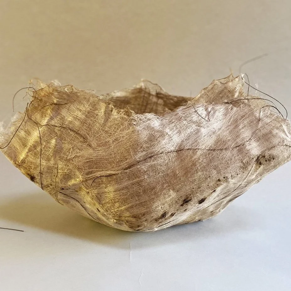 Cocoon.jpg