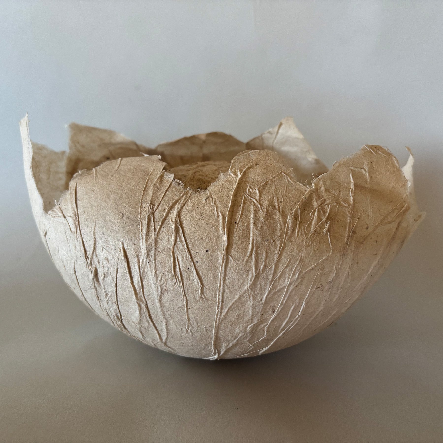 Nest: Two