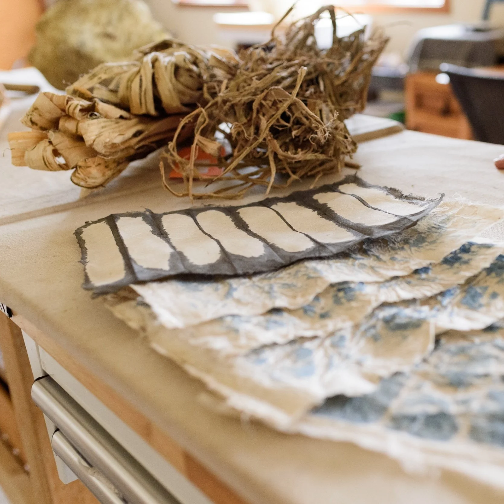 PapermakerArtistJacquelineMallegni62.jpg