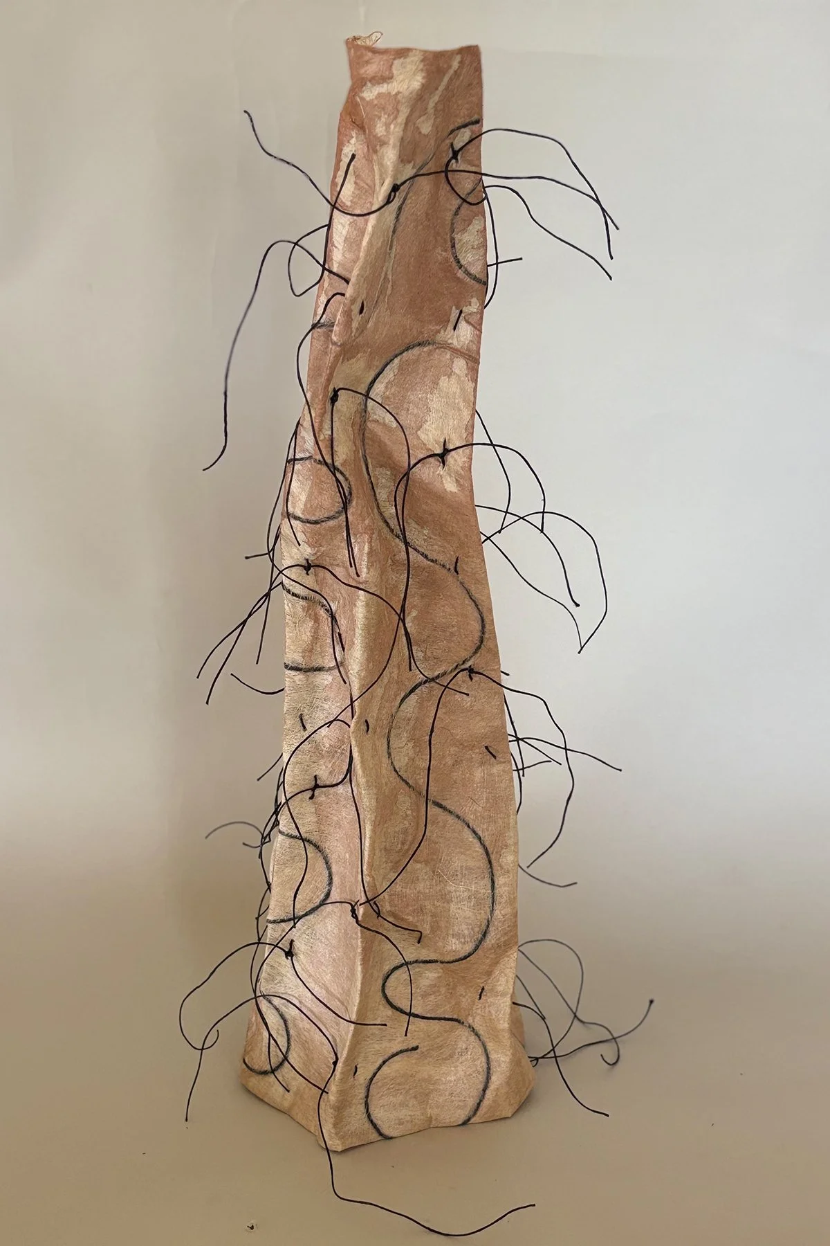 wind.thorns.3.jpg