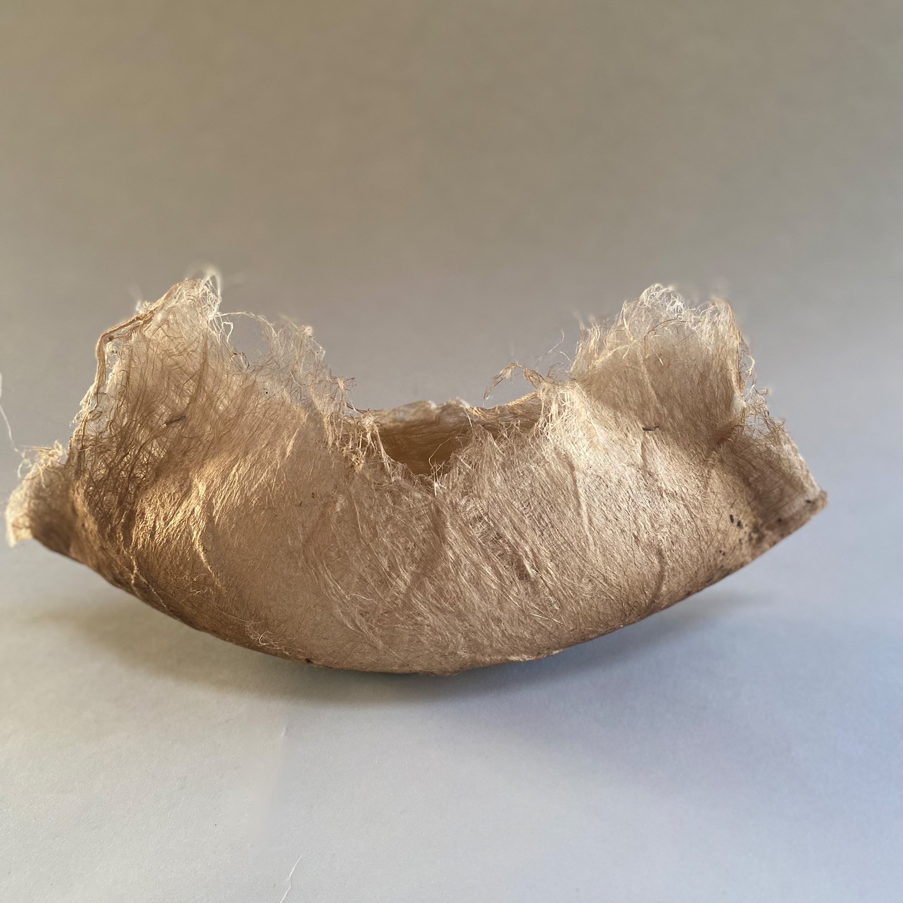 Cocoon: Three