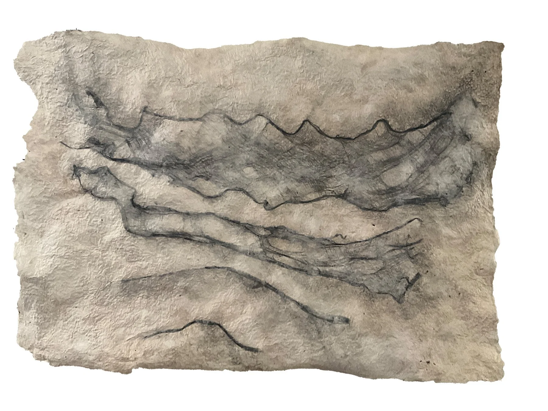 Tide Marks: Four. kozo and gampi fiber paper, kozo inclusions, sumi ink.
20 x 30 inches