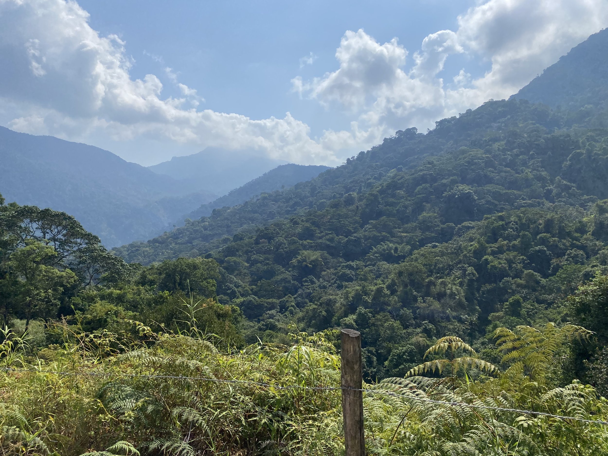  A post on a wire fence overlooking lush jungle mountains and valleys 