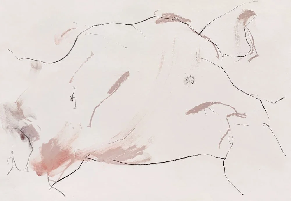 I want you with your heart wide open  Conté and pastel on paper - 30 x 42 cm Private collection - UK