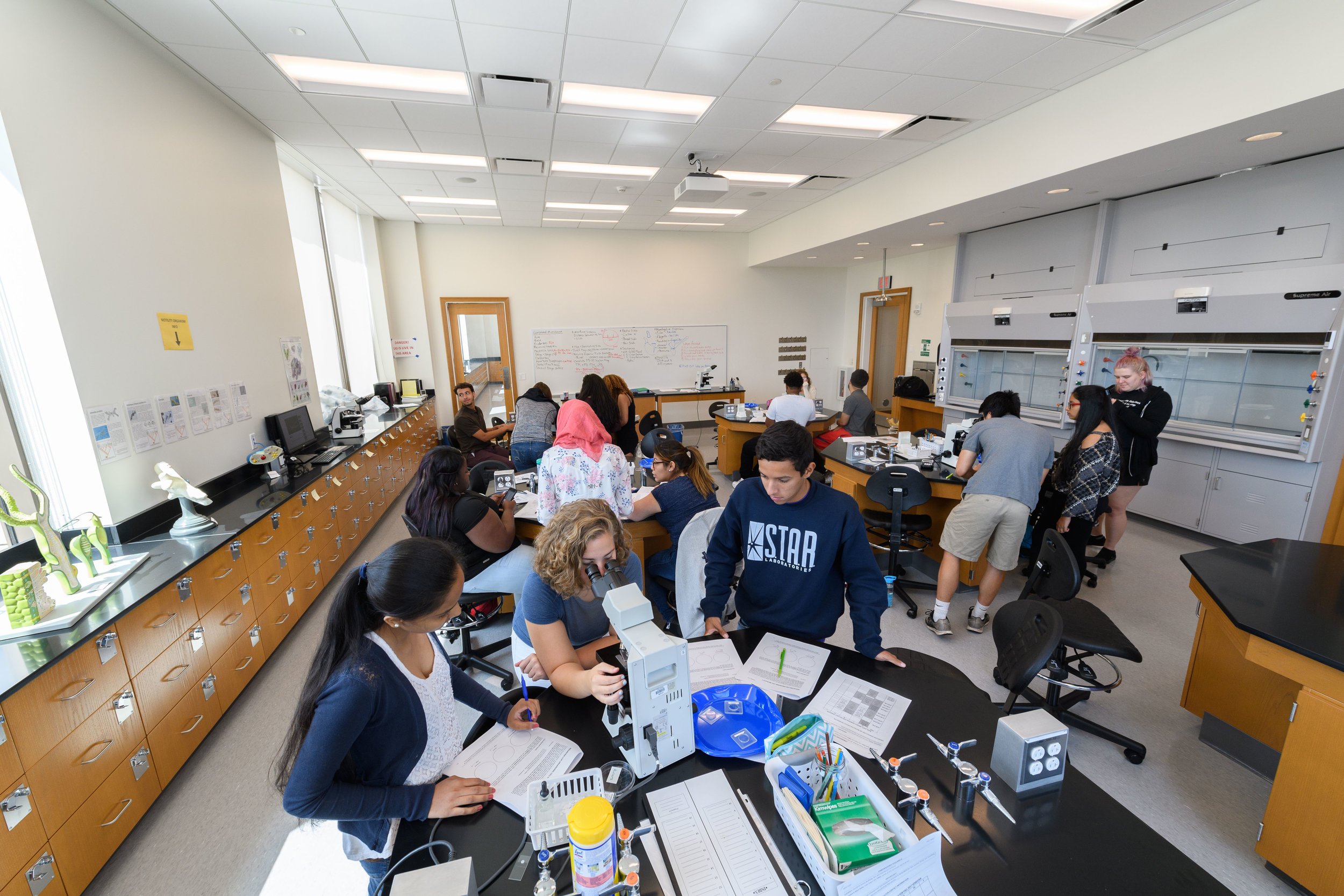 HartfordBio170828a235+(1).jpg
