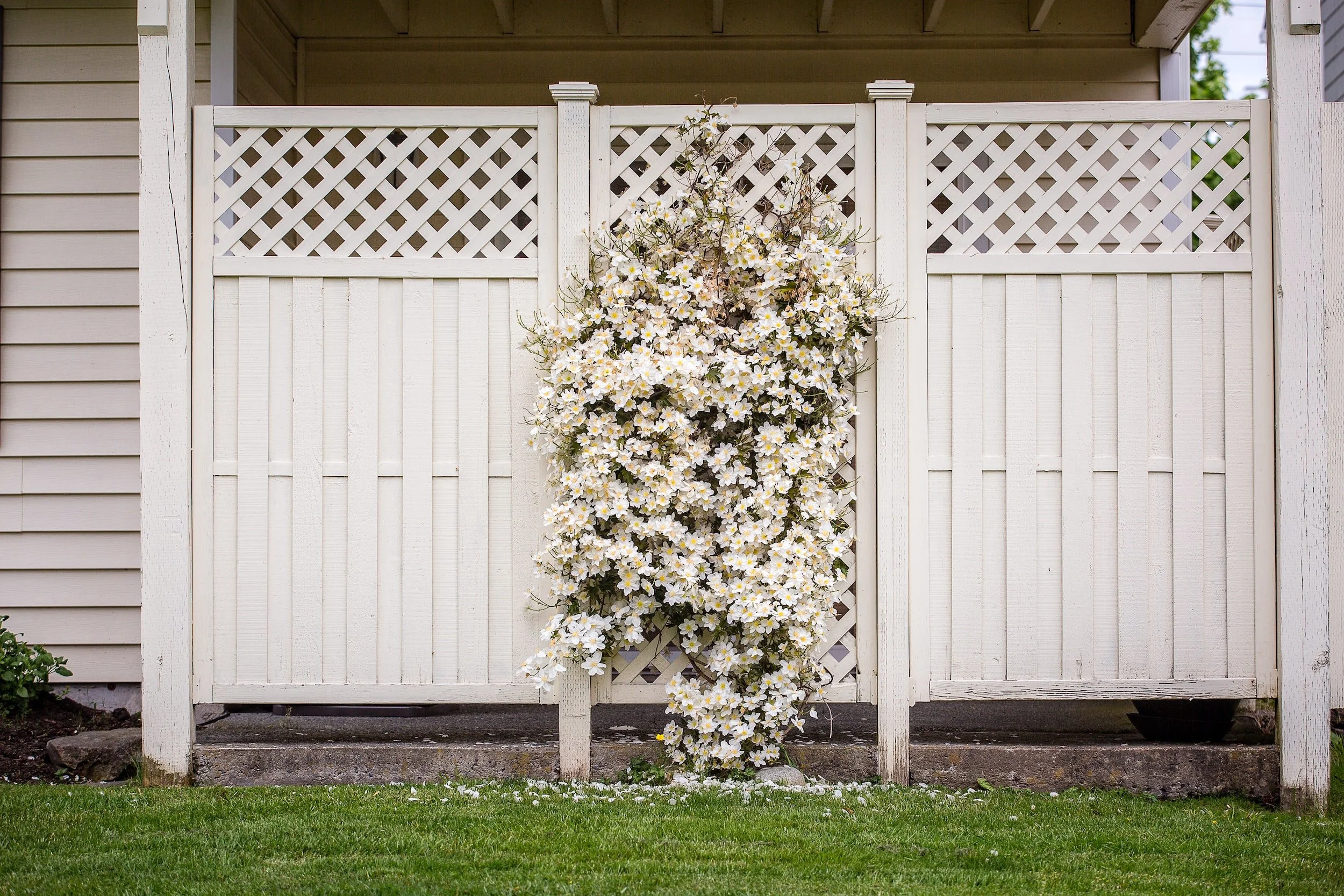 Get A White Vinyl Fence
