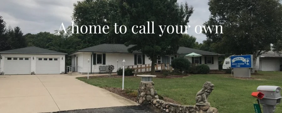 Building the Frontline: How Shared Housing and Foster Care Strengthen the Homelessness Safety Net