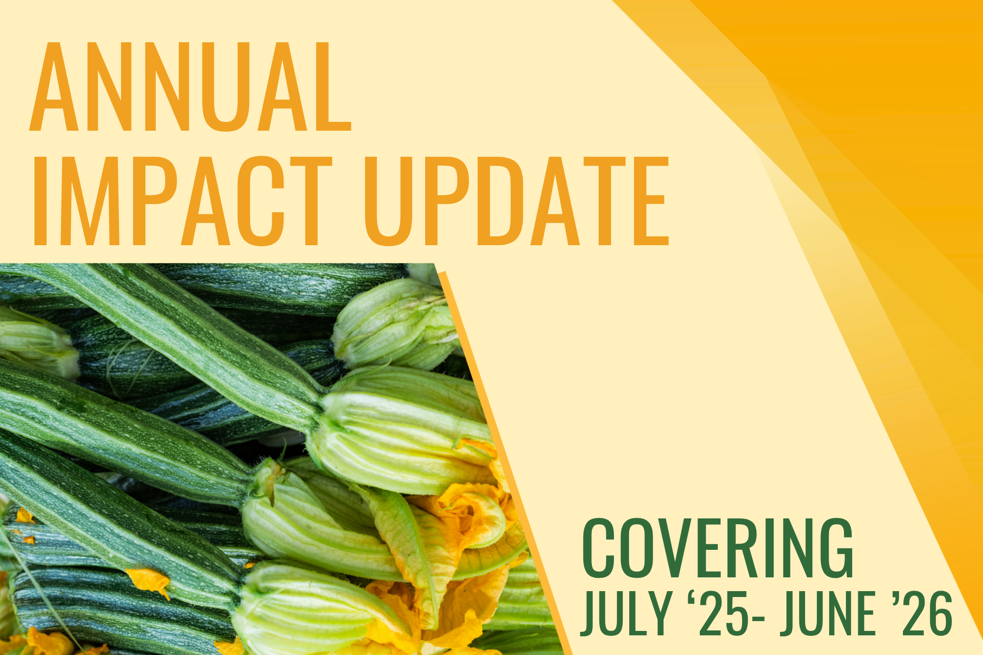 Annual Impact Update
