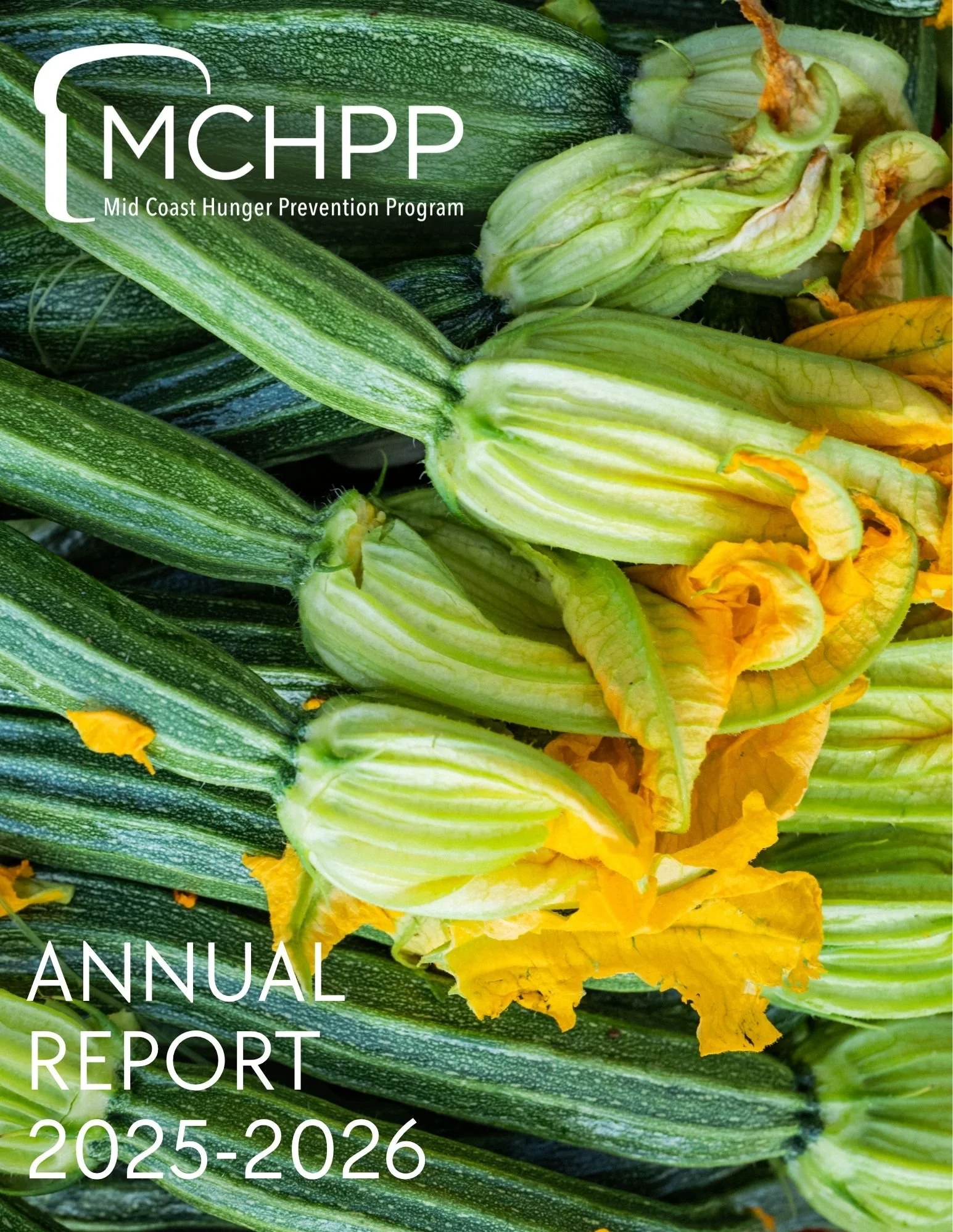 FY2026 Annual Report