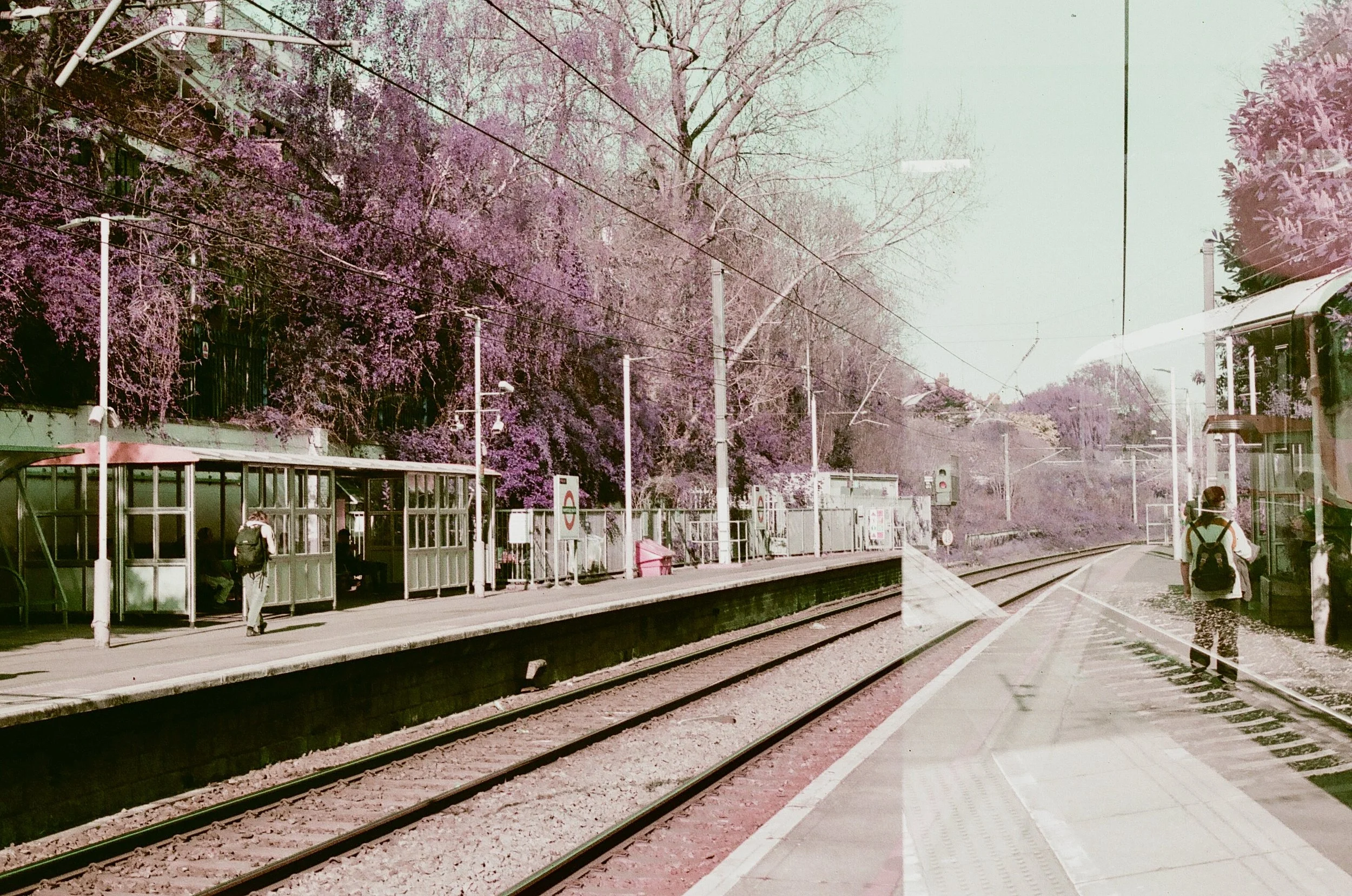 Hampstead Heath - Overground Tube - Lomochrome Purple XR 100-400