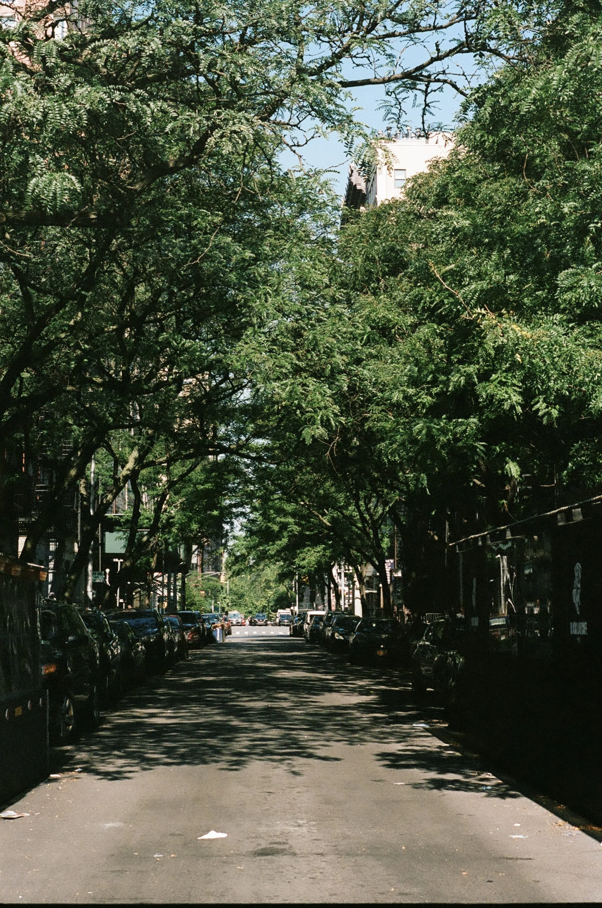 New York City - Portra 400