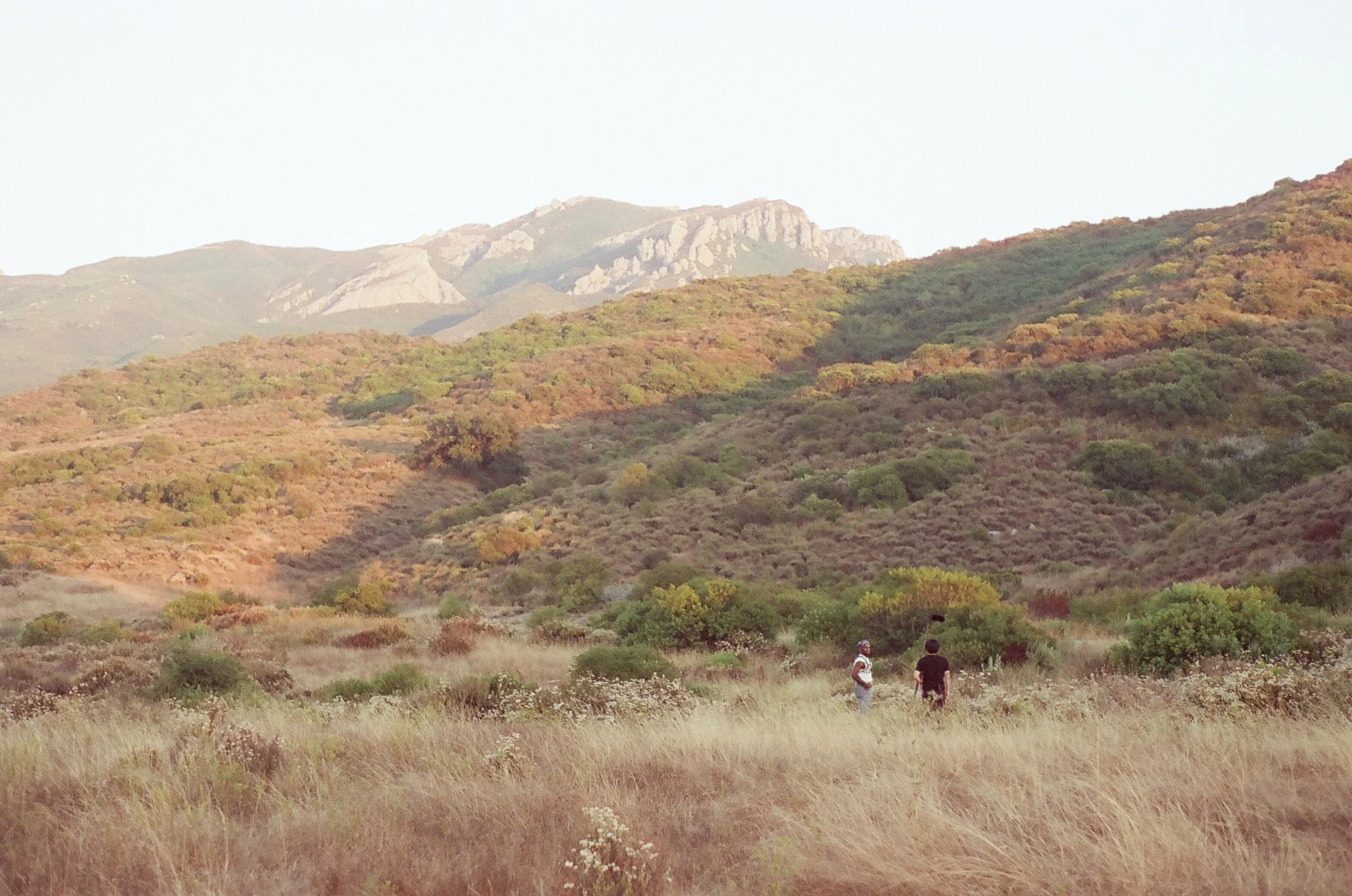 Agoura Hills - Cinestill 400