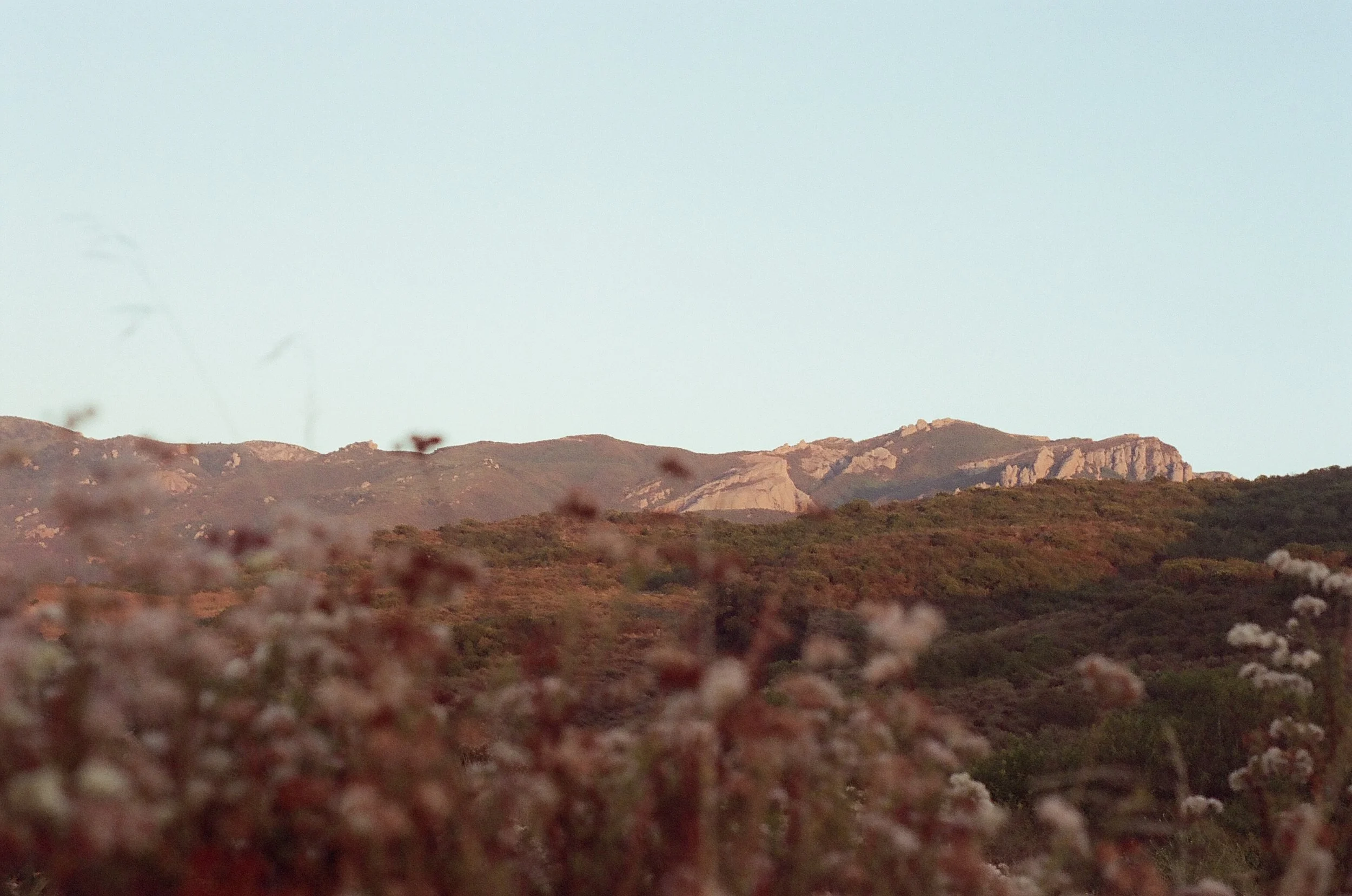 Agoura Hills - Cinestill 400