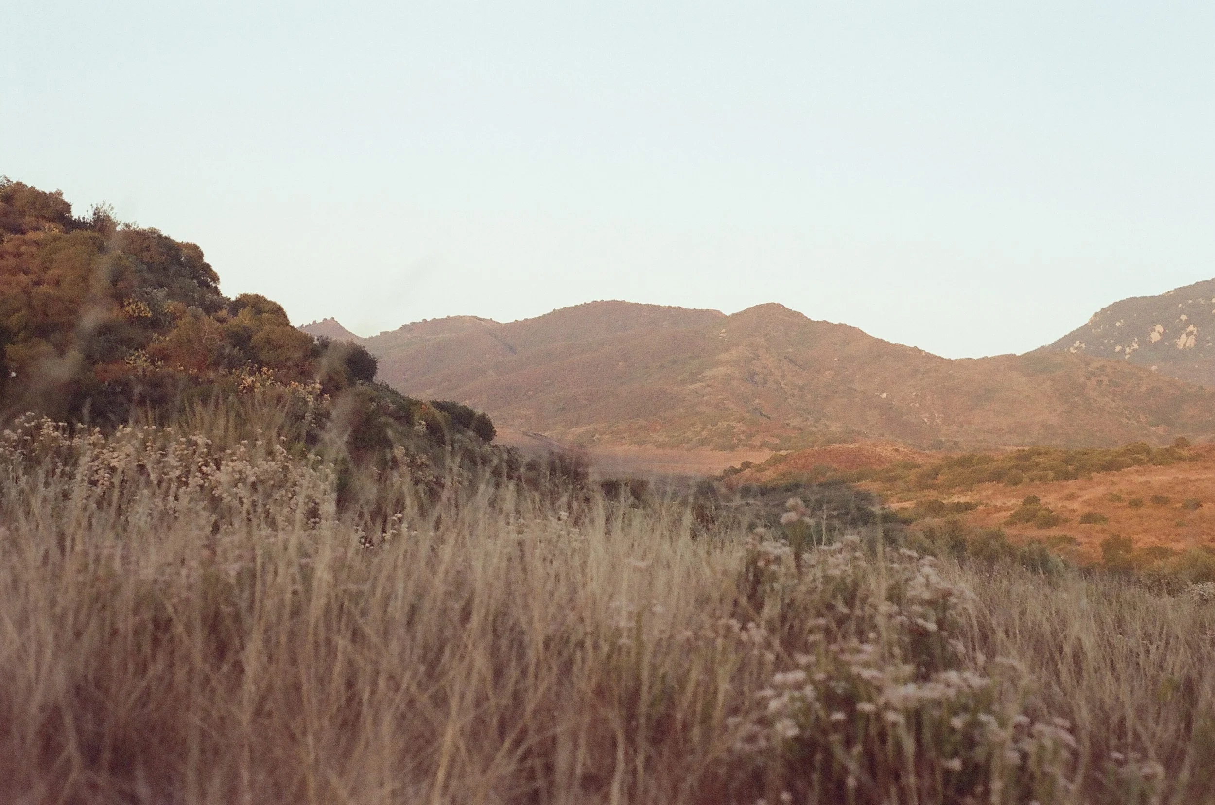 Agoura Hills - Cinestill 400