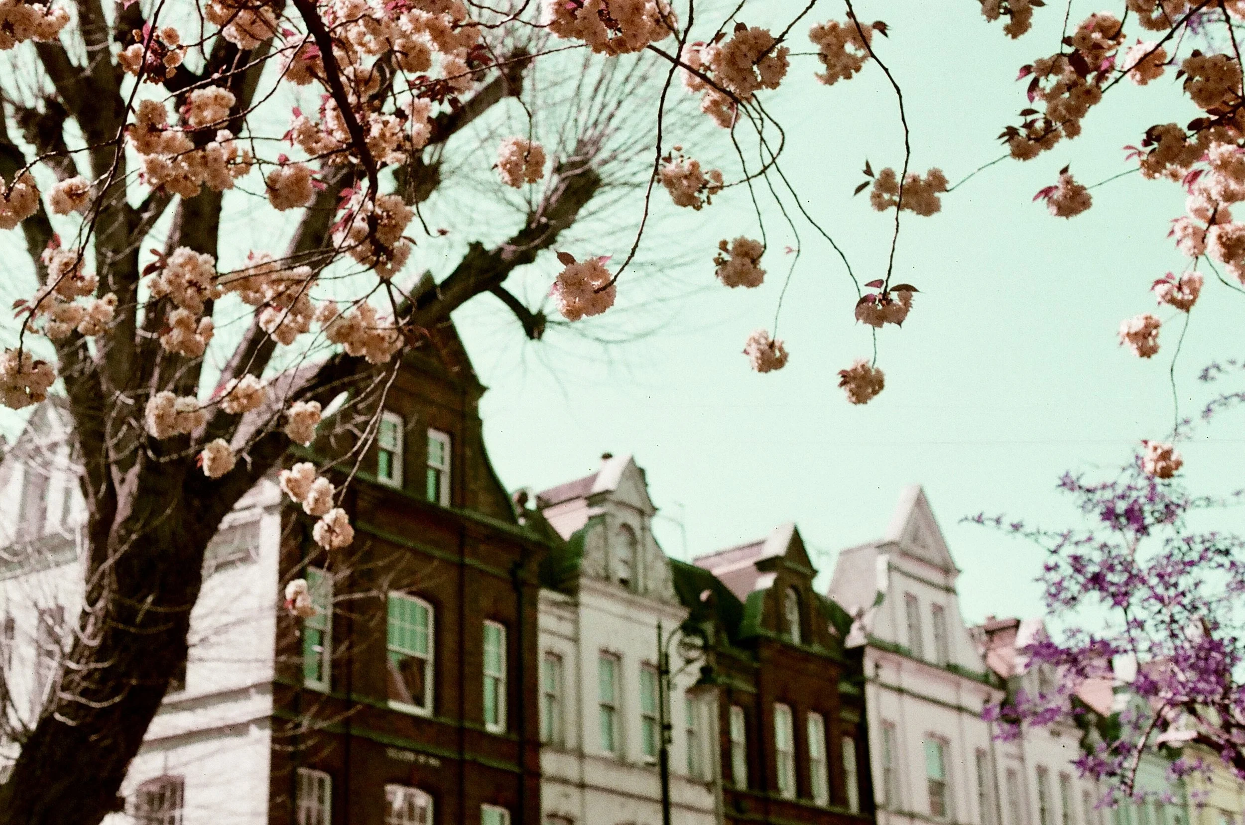 London - Lomochrome XR 100-400