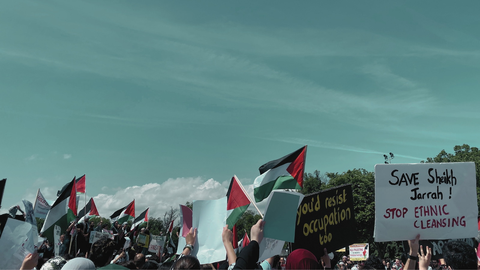 Protest.png
