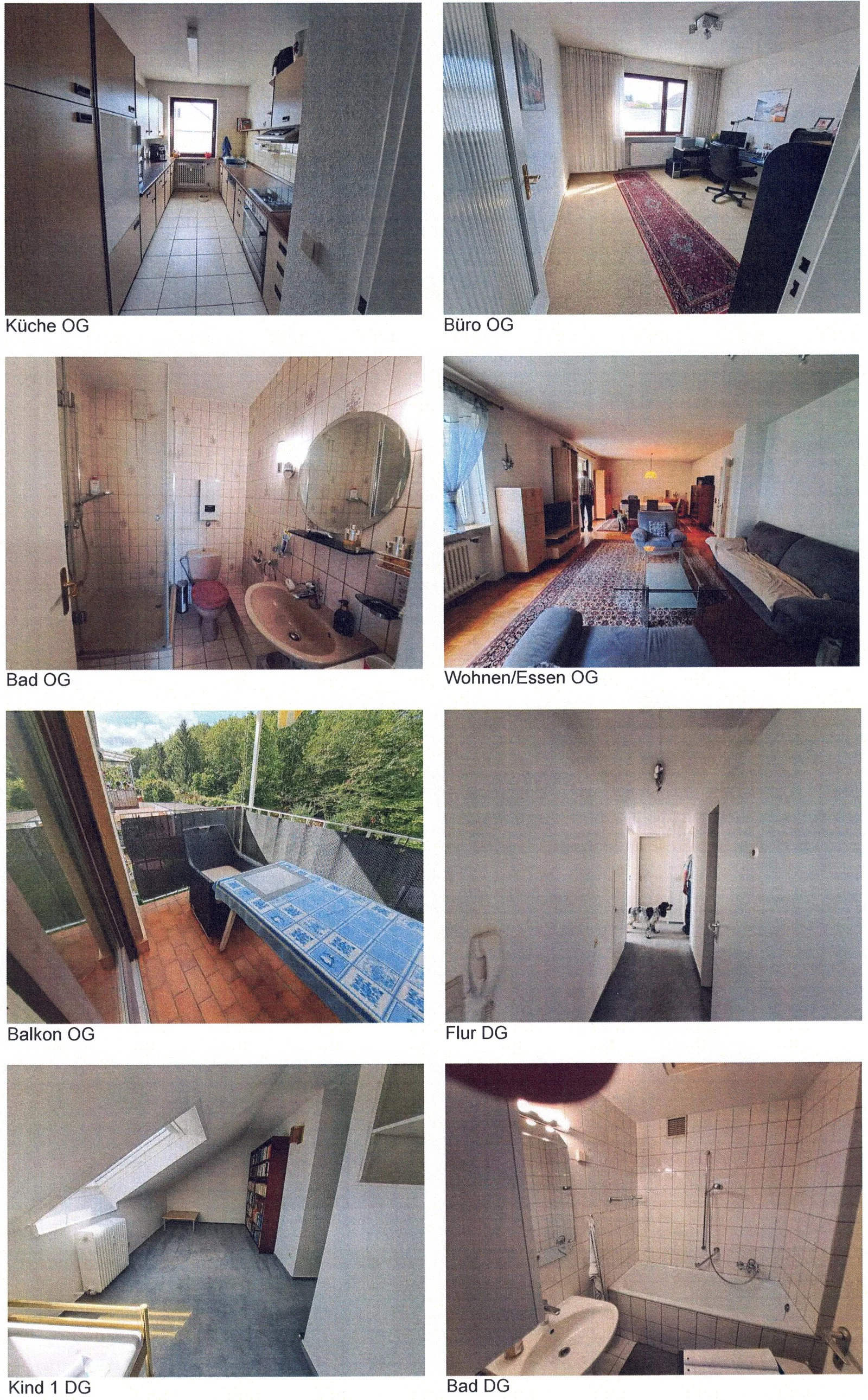 InderSitters2 - OG DG.jpg