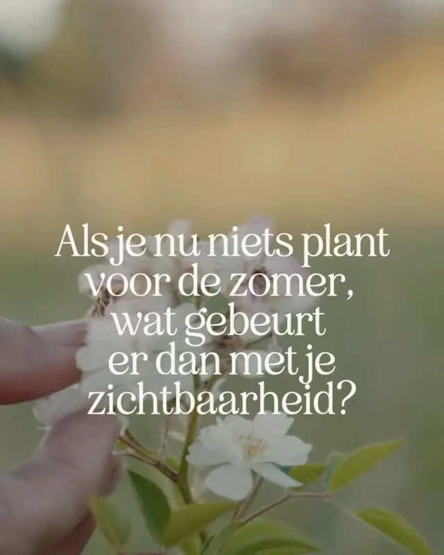 We zijn 10 juni.

En dit is meestal het moment waarop ondernemers denken:
&ldquo;De zomer wordt rustiger, ik zie wel wat ik post.&rdquo;

Maar zichtbaarheid werkt niet zo.

Als je niets voorbereidt, wordt het last minute content.
Of minder aanwezig z