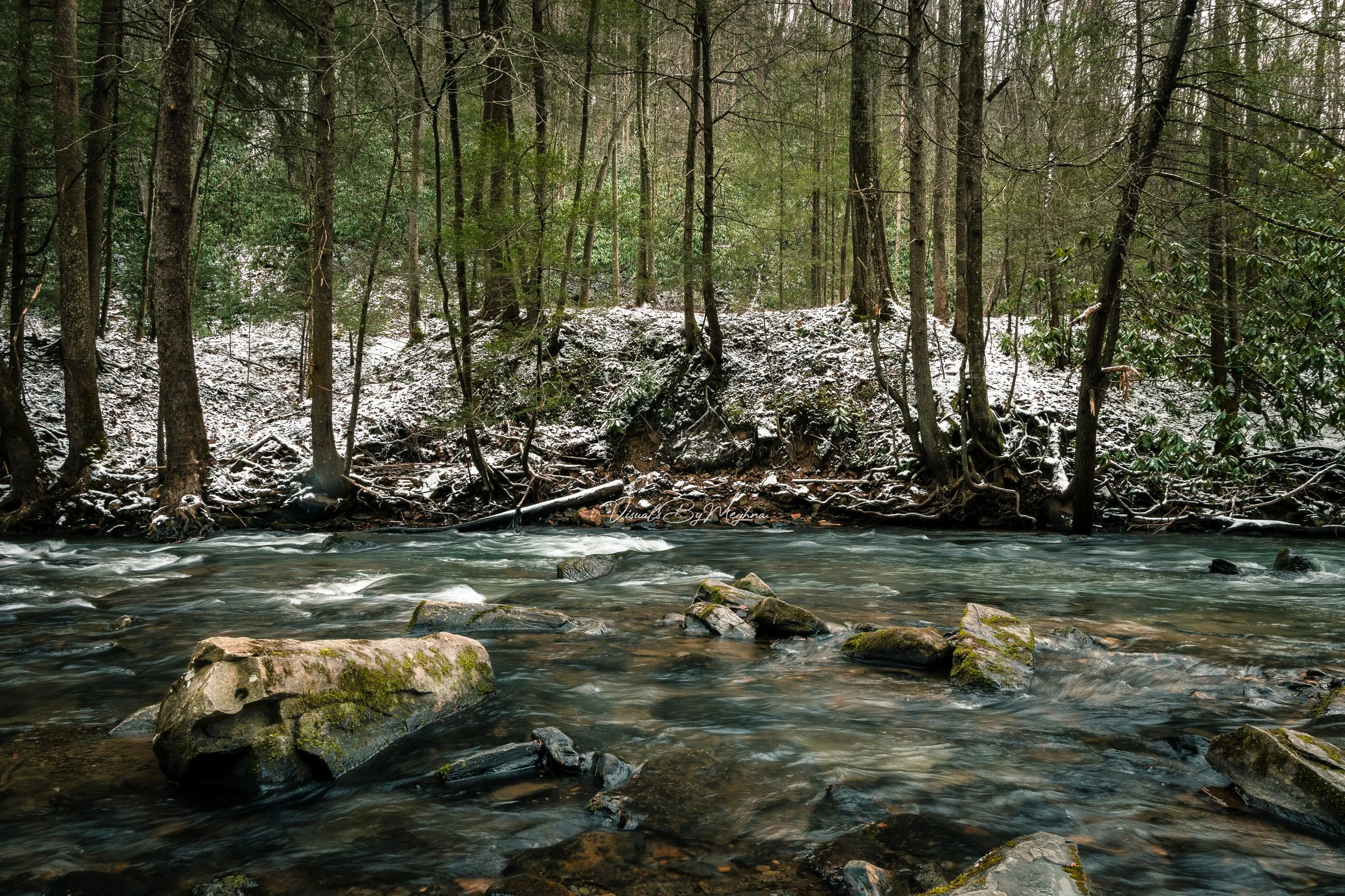 Winter to Spring - West Virginia 2023