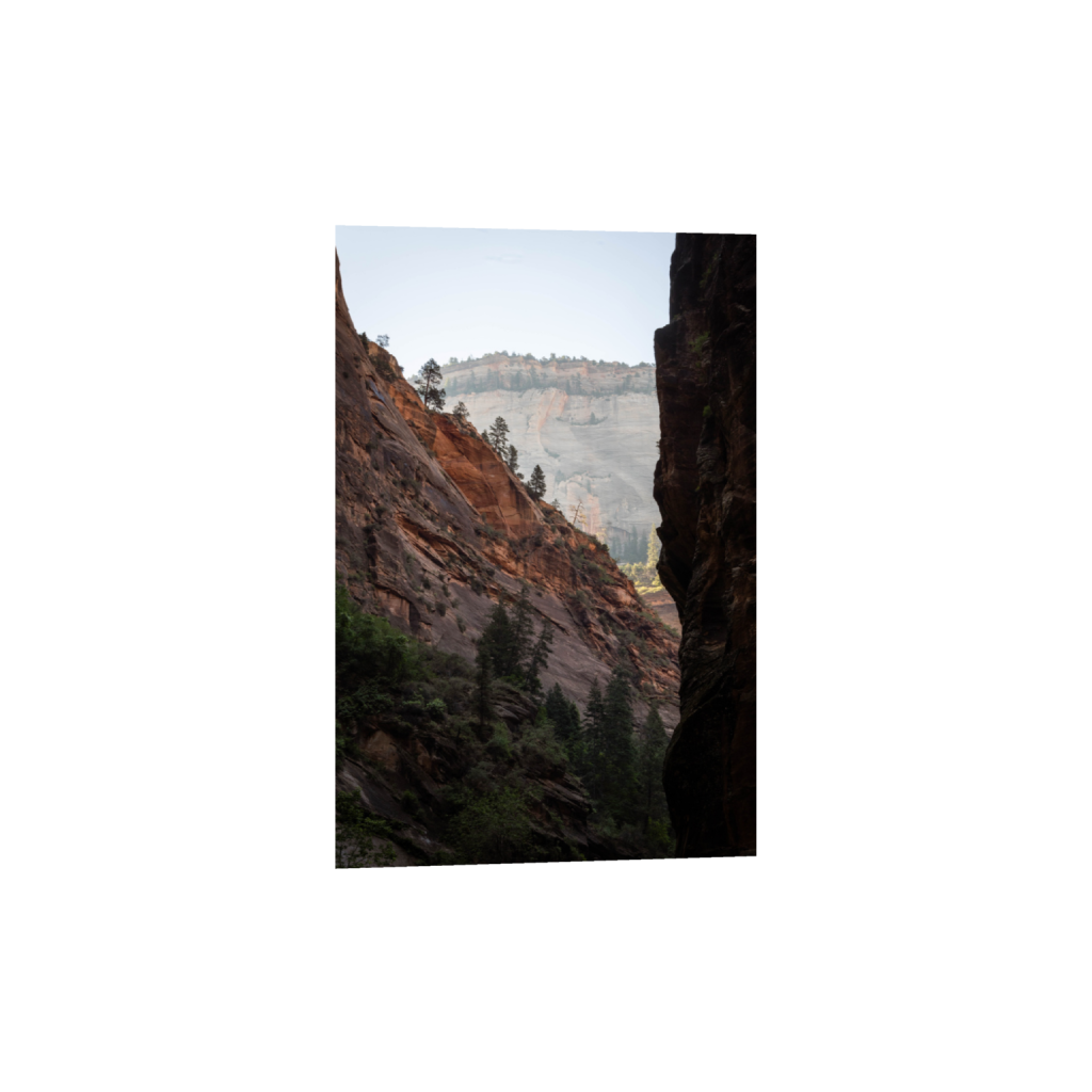 ptq_1_3_314_0_3019_4529_0_false_ffffff_0_0_.png