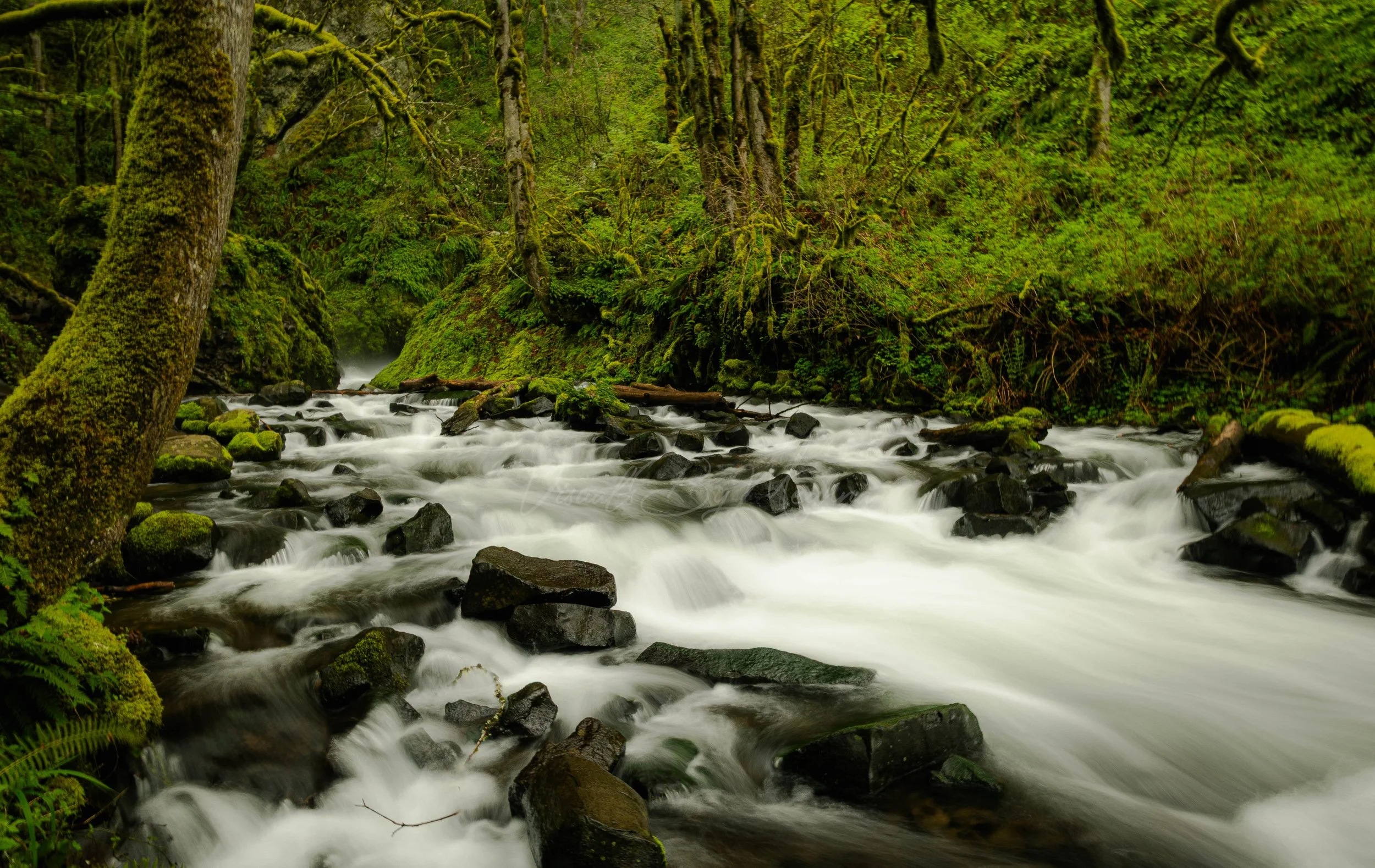 Bridal Veil Falls, OR - 2025