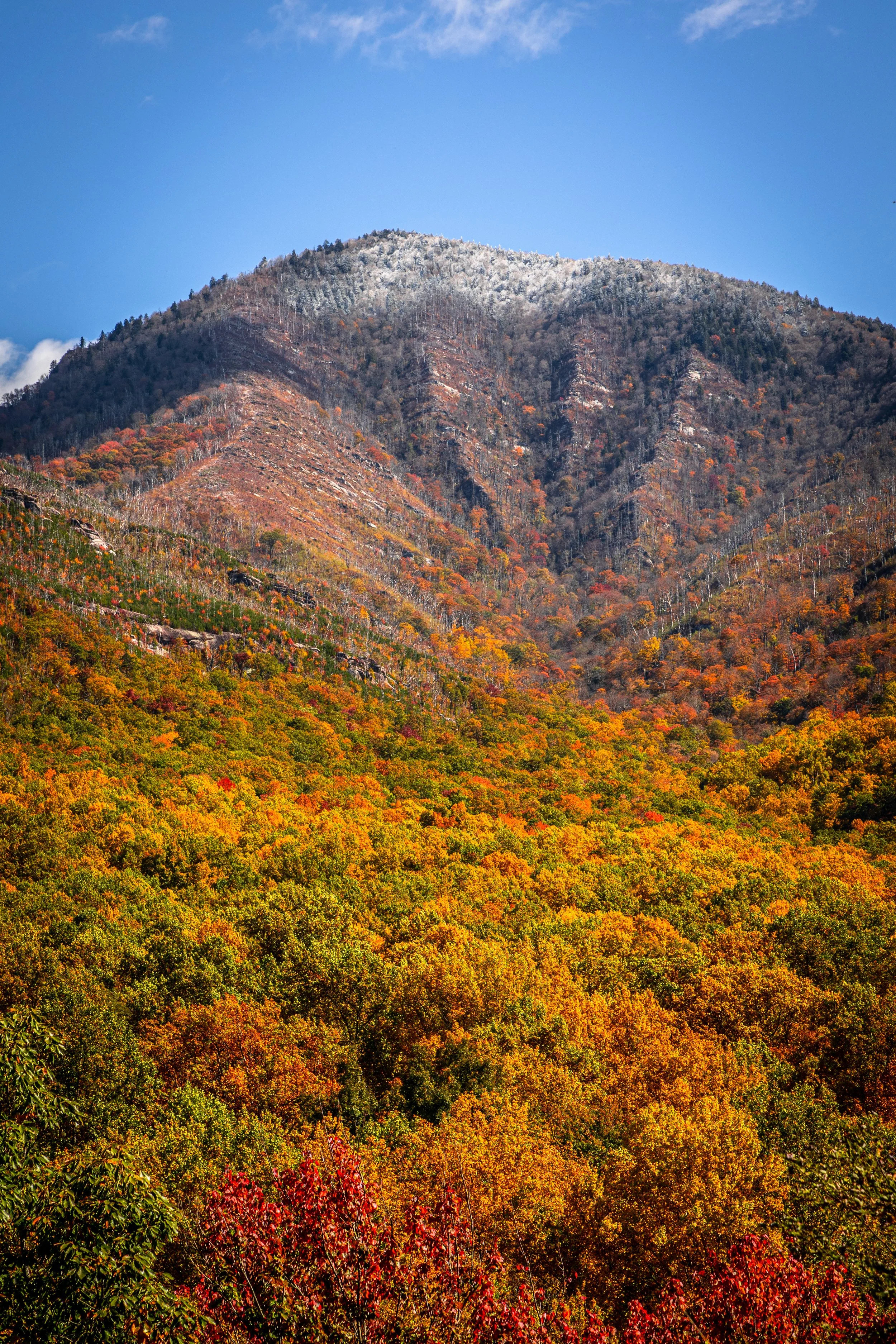 The Great Smoky Mountains - 
Fall 2022
