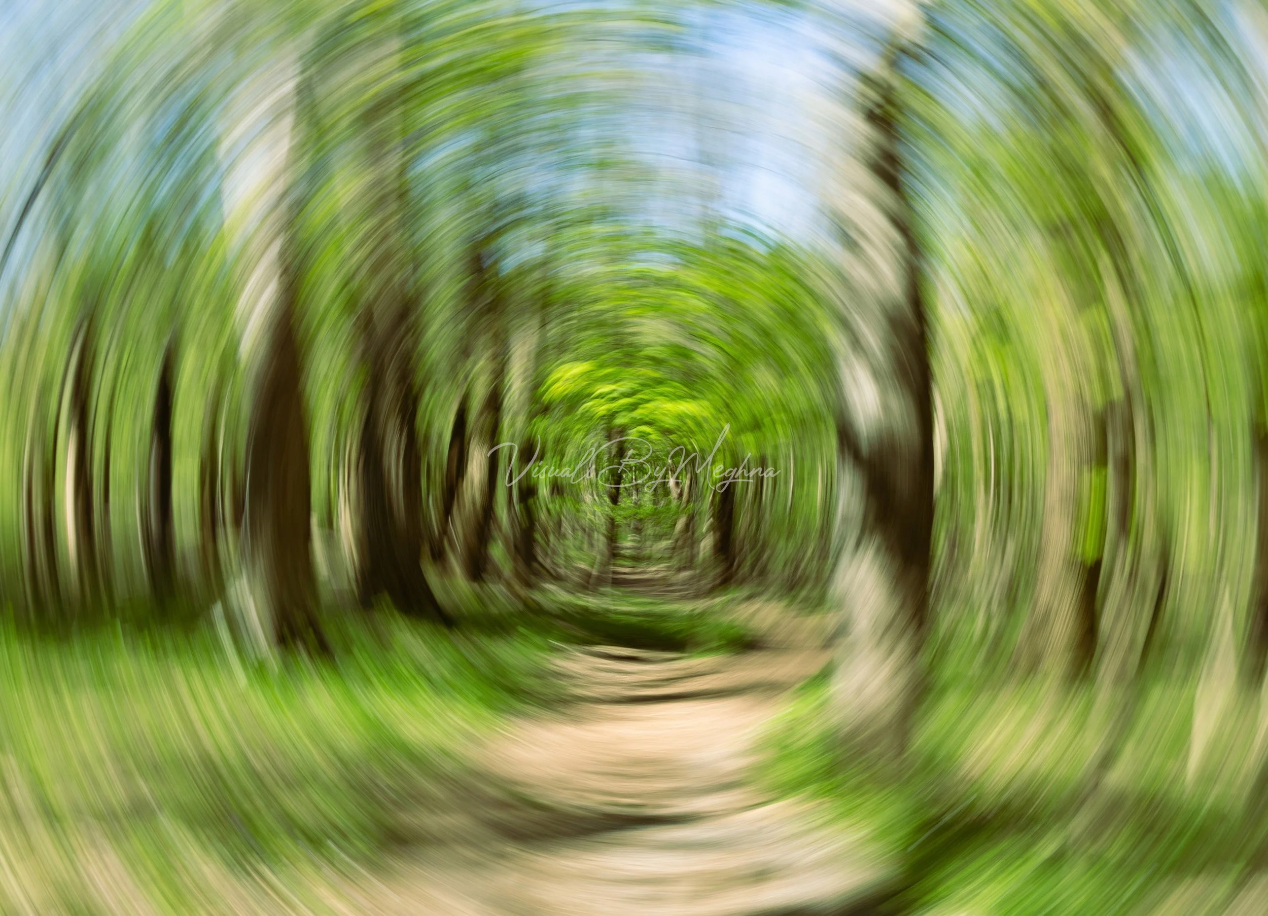 walking in circles - Radnor Lake, TN 
